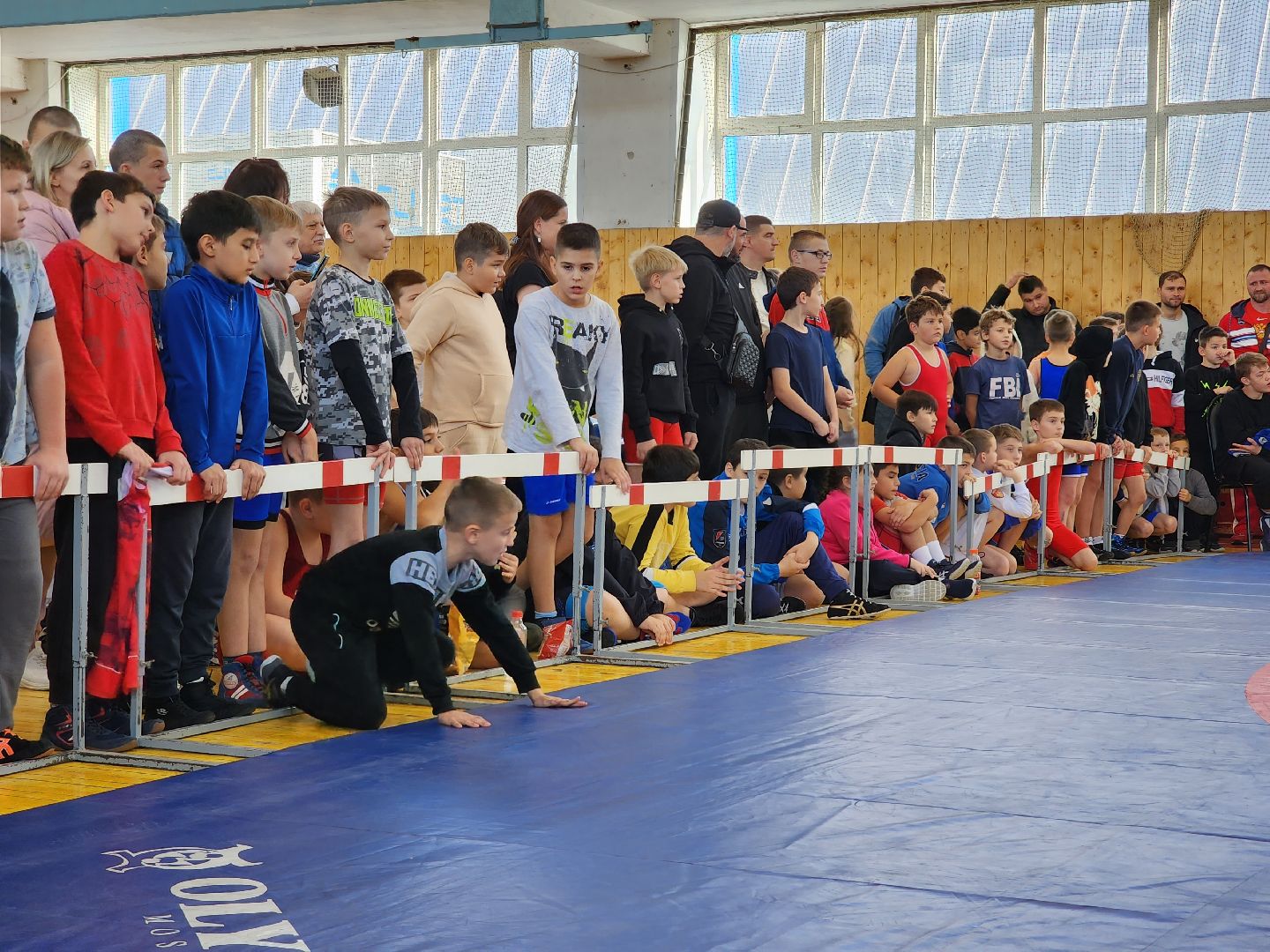 Греко-римская борьба, спорт, турнир, Ногинск, Богородский городской округ,