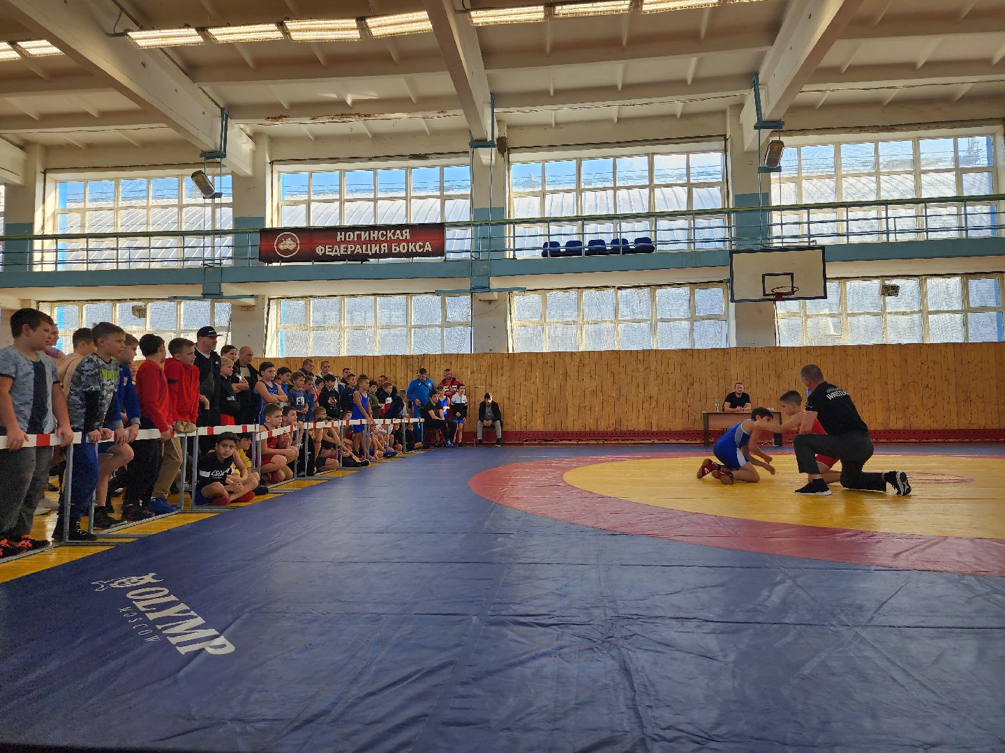 Греко-римская борьба, спорт, турнир, Ногинск, Богородский городской округ,