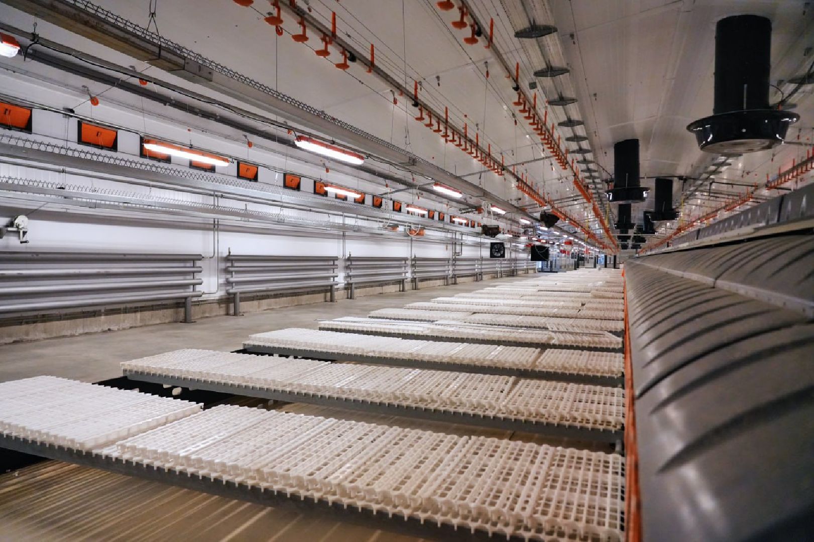 Сергиево-Посадский городской округ, Федеральный проект, Смена, Птицеводство, Птичники, Племенная птица, Смена-9, ВНИИТИП, ВНИТИП, Сельское хозяйство,