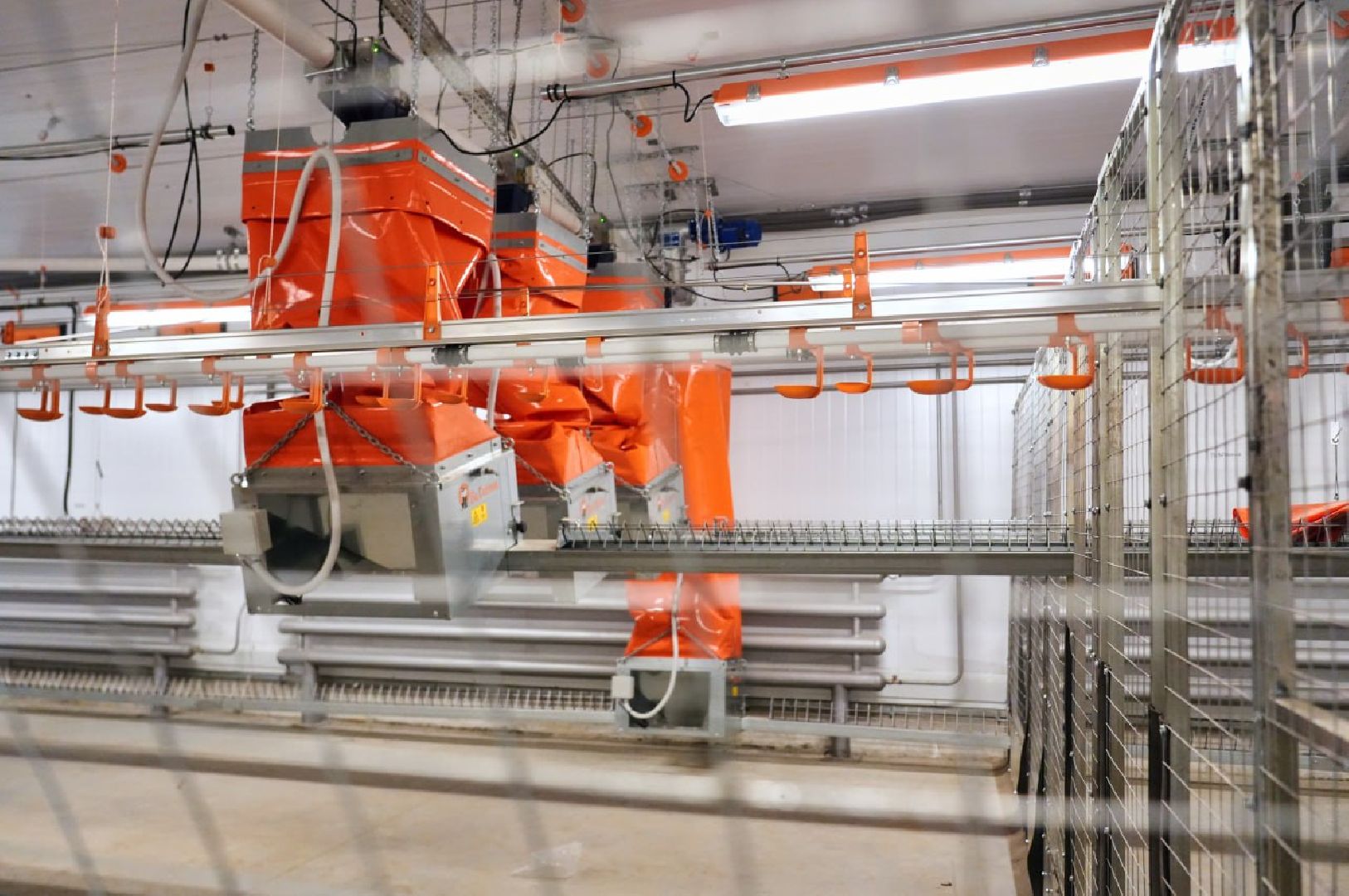 Сергиево-Посадский городской округ, Федеральный проект, Смена, Птицеводство, Птичники, Племенная птица, Смена-9, ВНИИТИП, ВНИТИП, Сельское хозяйство,