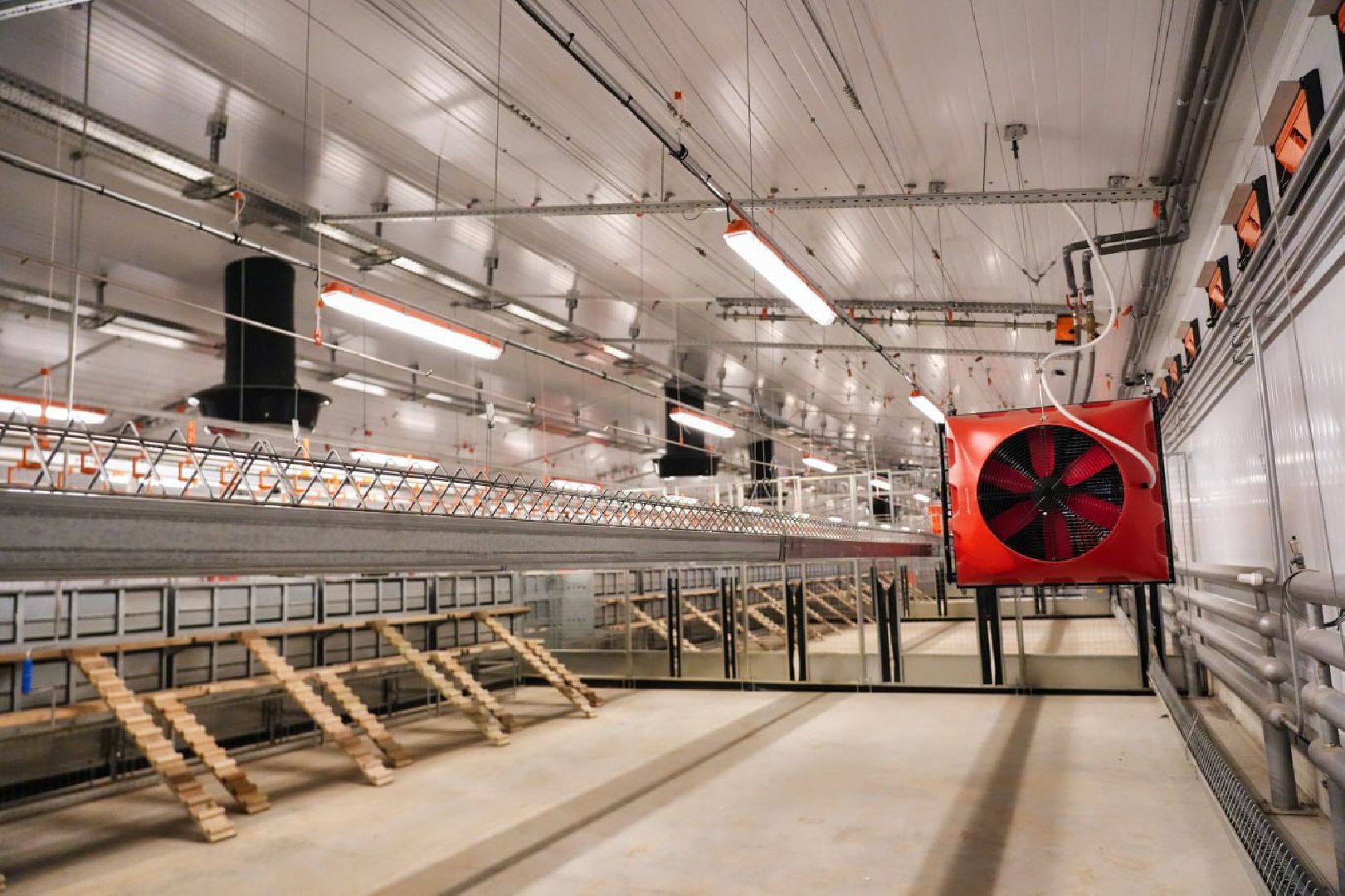 Сергиево-Посадский городской округ, Федеральный проект, Смена, Птицеводство, Птичники, Племенная птица, Смена-9, ВНИИТИП, ВНИТИП, Сельское хозяйство,