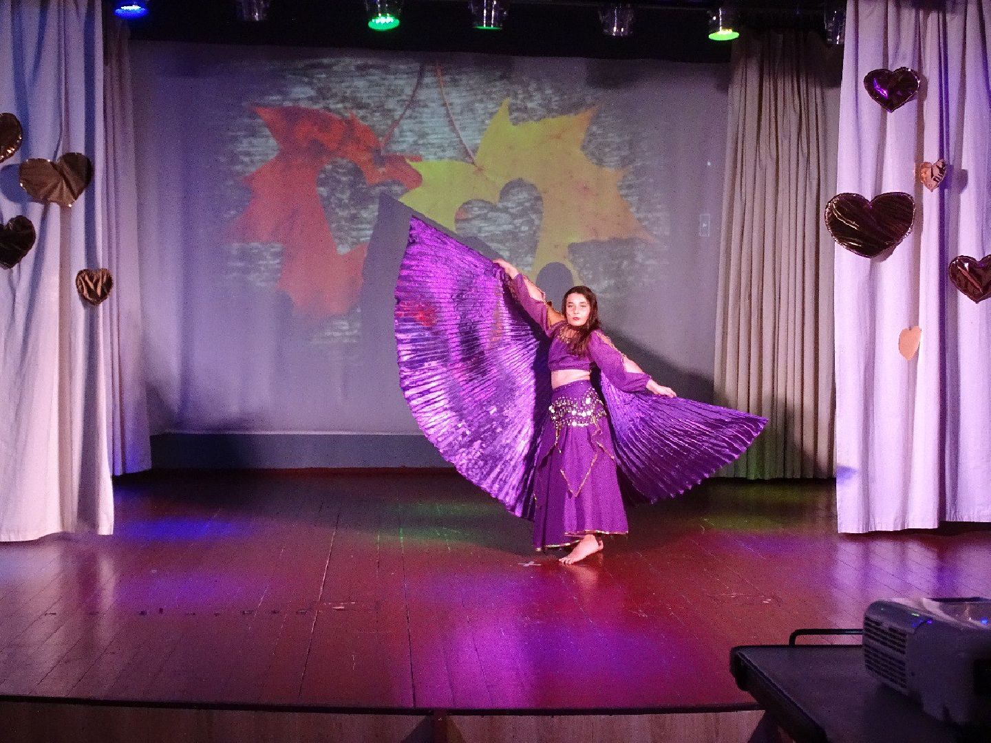 день пожилого человека, концерт, пушкино, песни,