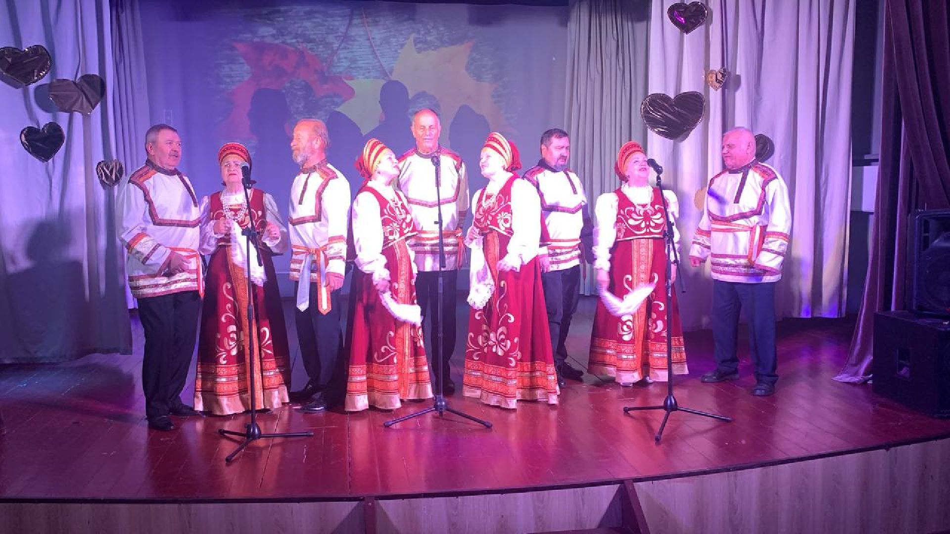 день пожилого человека, концерт, пушкино, песни,