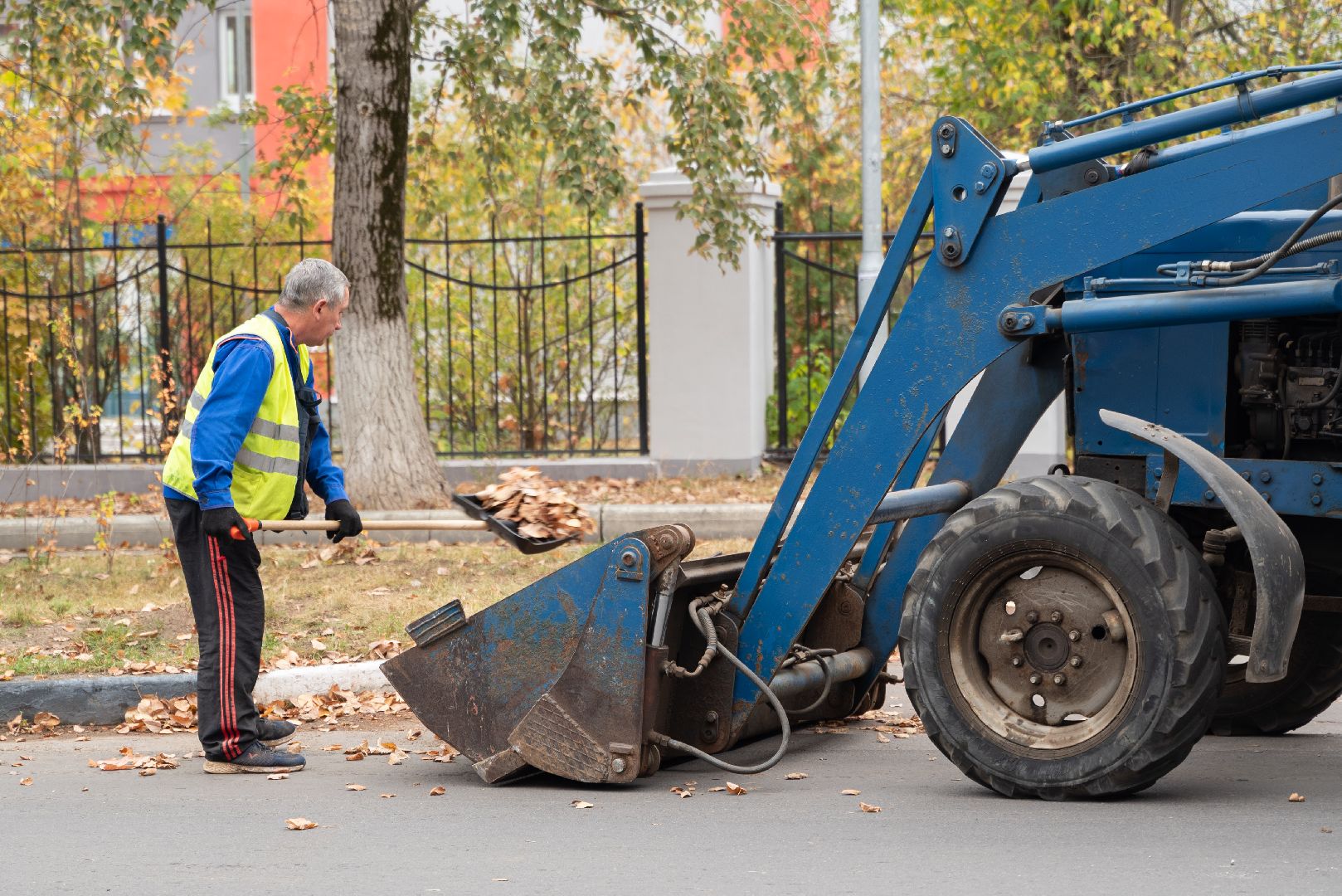 лыткарино, жкх, уборка, осень,