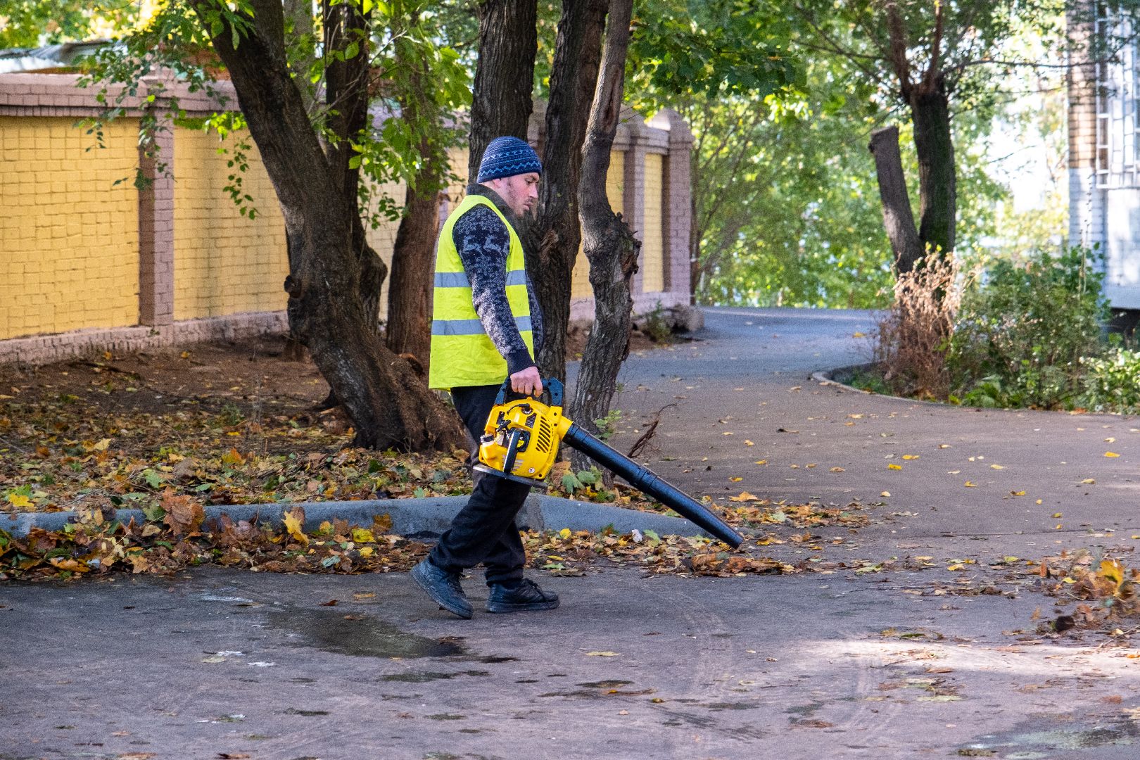 лыткарино, жкх, уборка, осень,