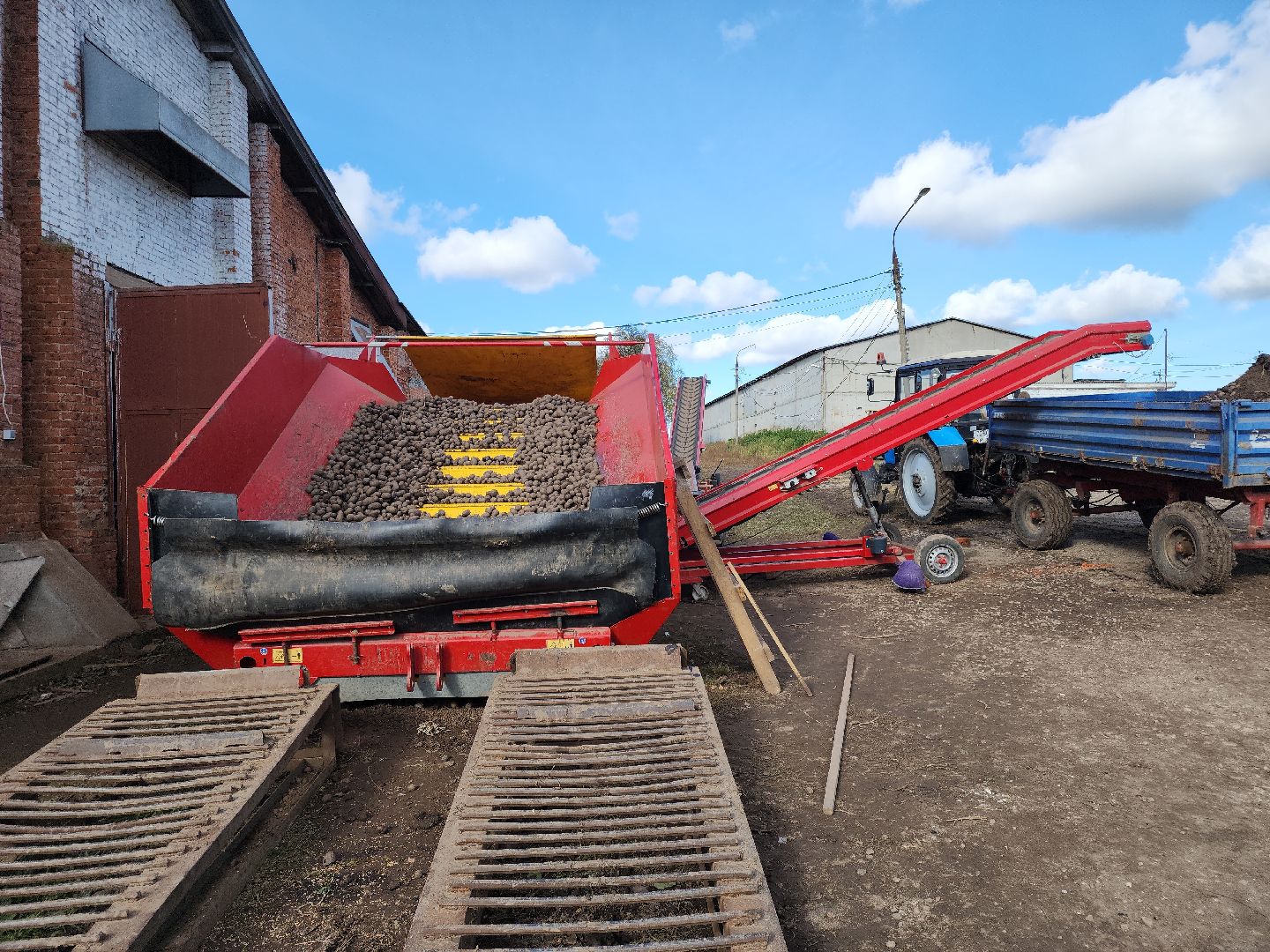 кашира, урожай, семенной картофель, фх седек, топканово, селекция,