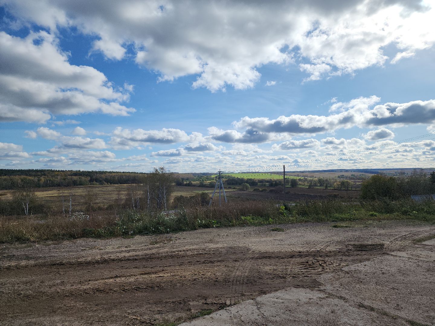 кашира, урожай, семенной картофель, фх седек, топканово, селекция,