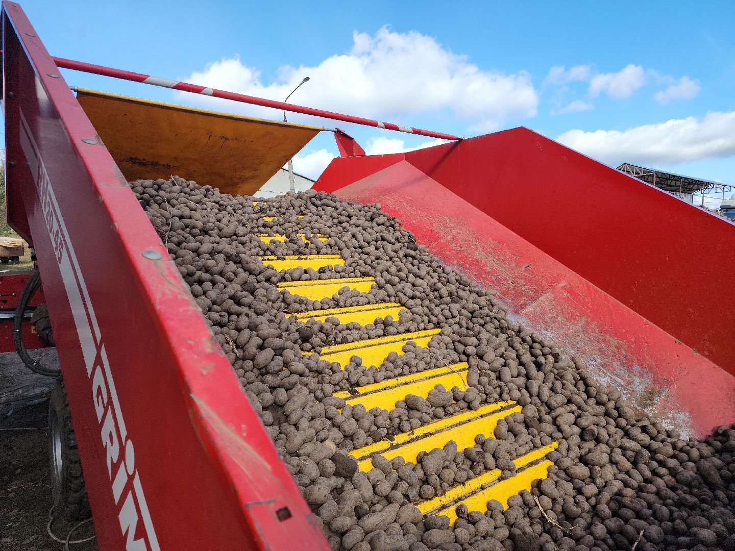 кашира, урожай, семенной картофель, фх седек, топканово, селекция,