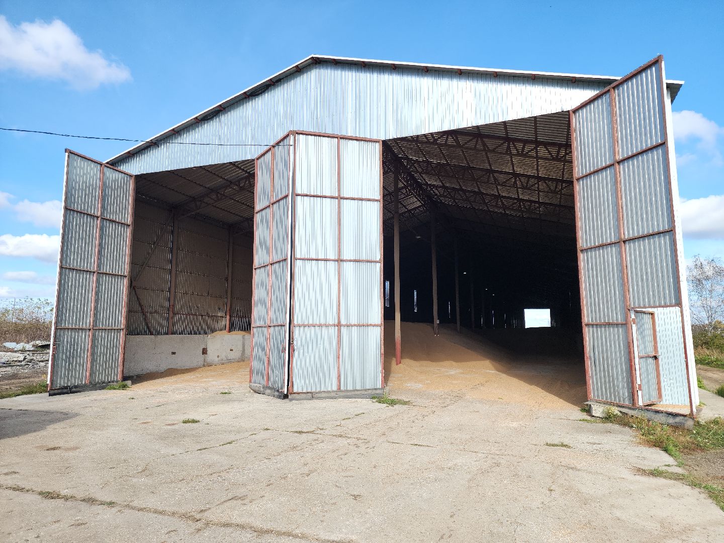 кашира, урожай, семенной картофель, фх седек, топканово, селекция,