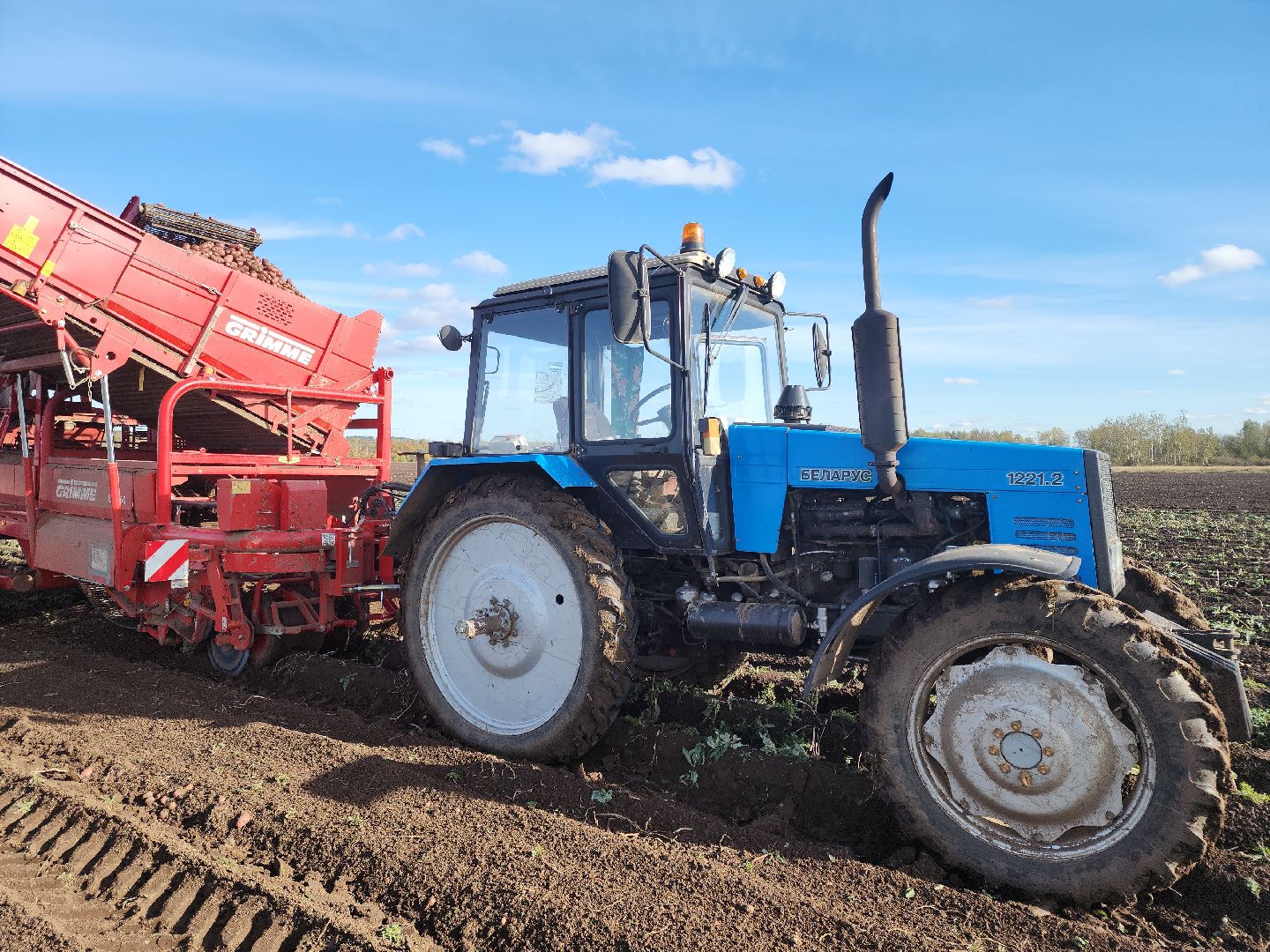 Кашира, уборочная кампания, яровые, озимые, пшеница, горох, картофель,