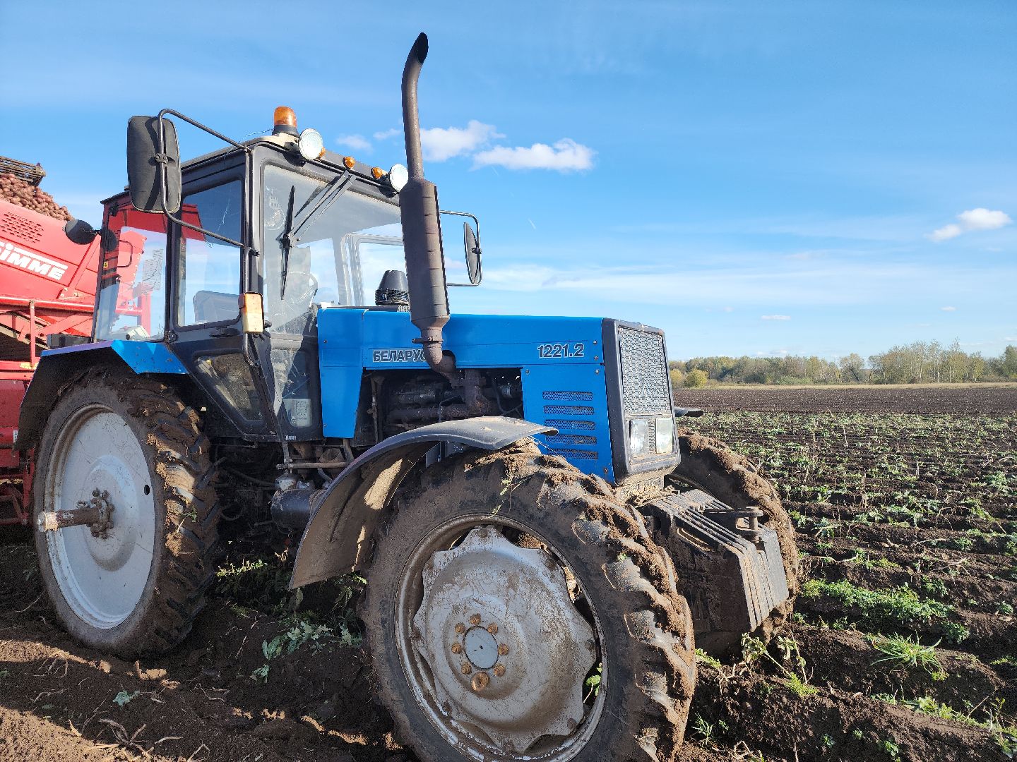 Кашира, уборочная кампания, яровые, озимые, пшеница, горох, картофель,