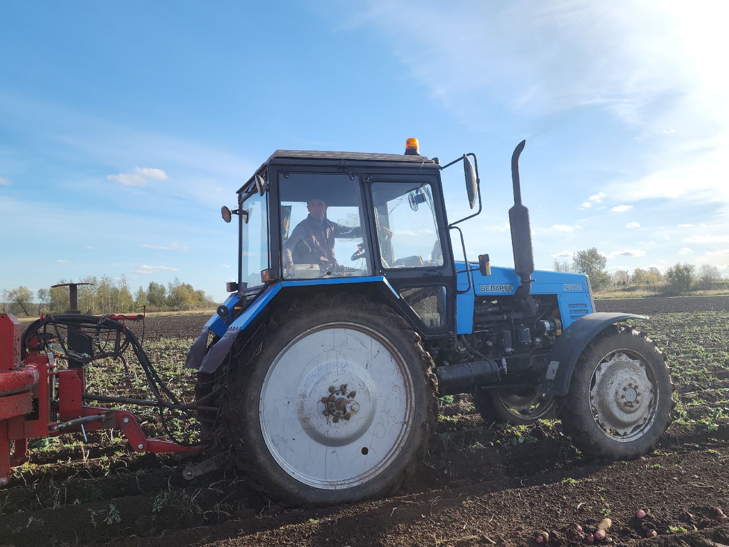 Кашира, уборочная кампания, яровые, озимые, пшеница, горох, картофель,