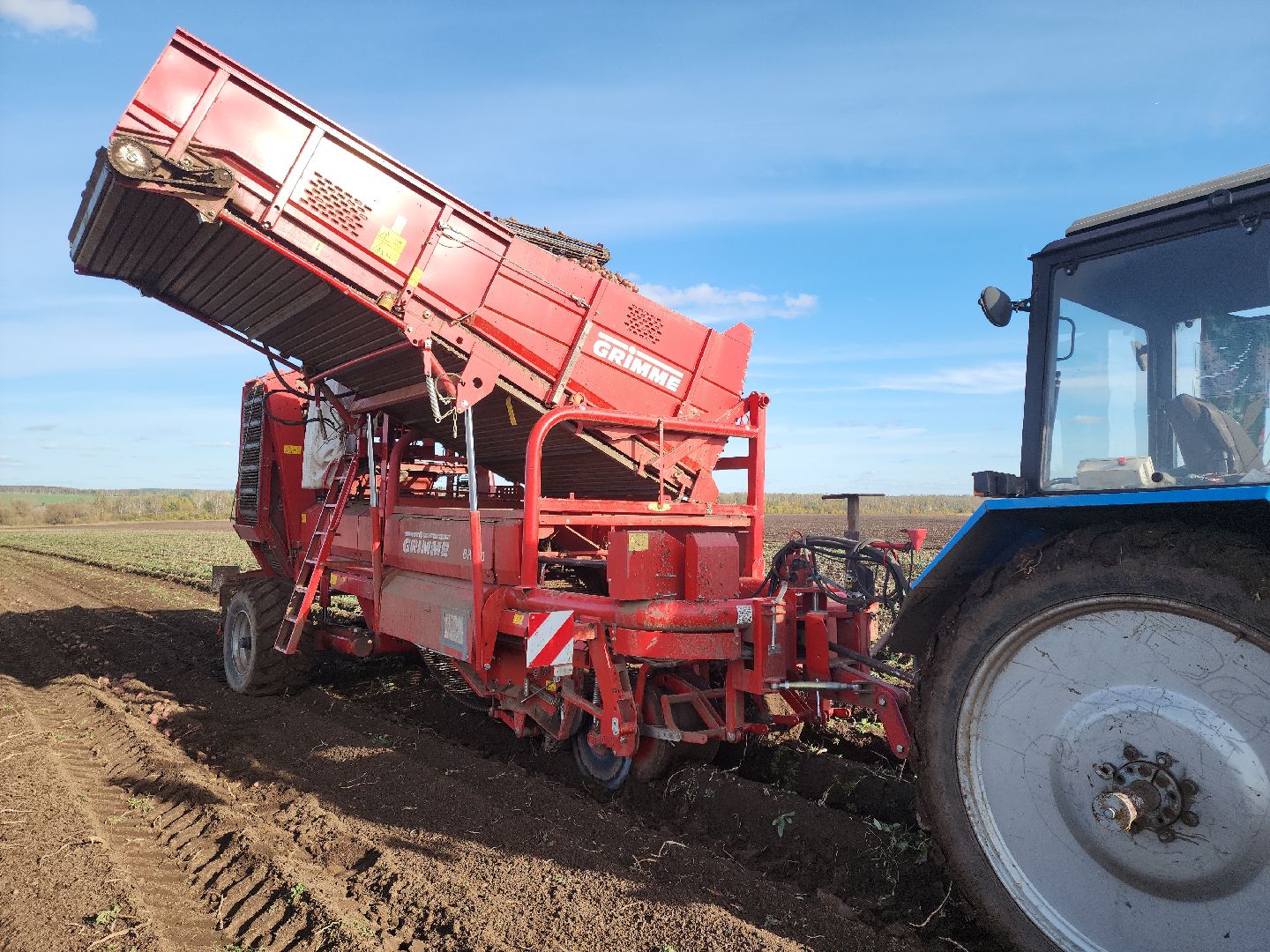 Кашира, уборочная кампания, яровые, озимые, пшеница, горох, картофель,