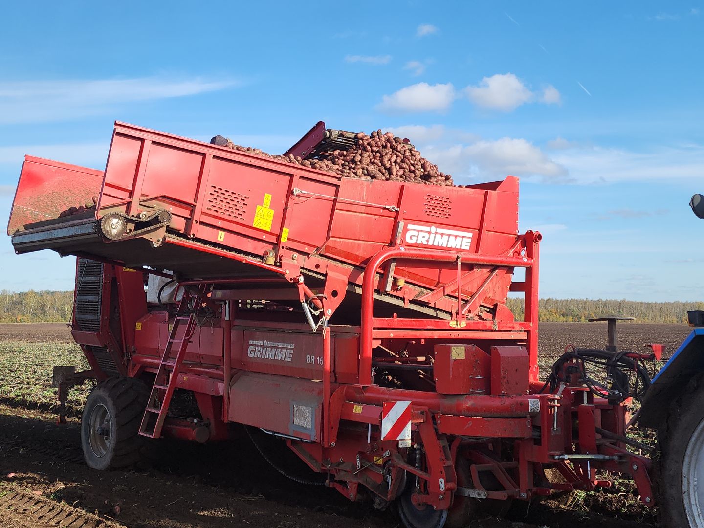 Кашира, уборочная кампания, яровые, озимые, пшеница, горох, картофель,