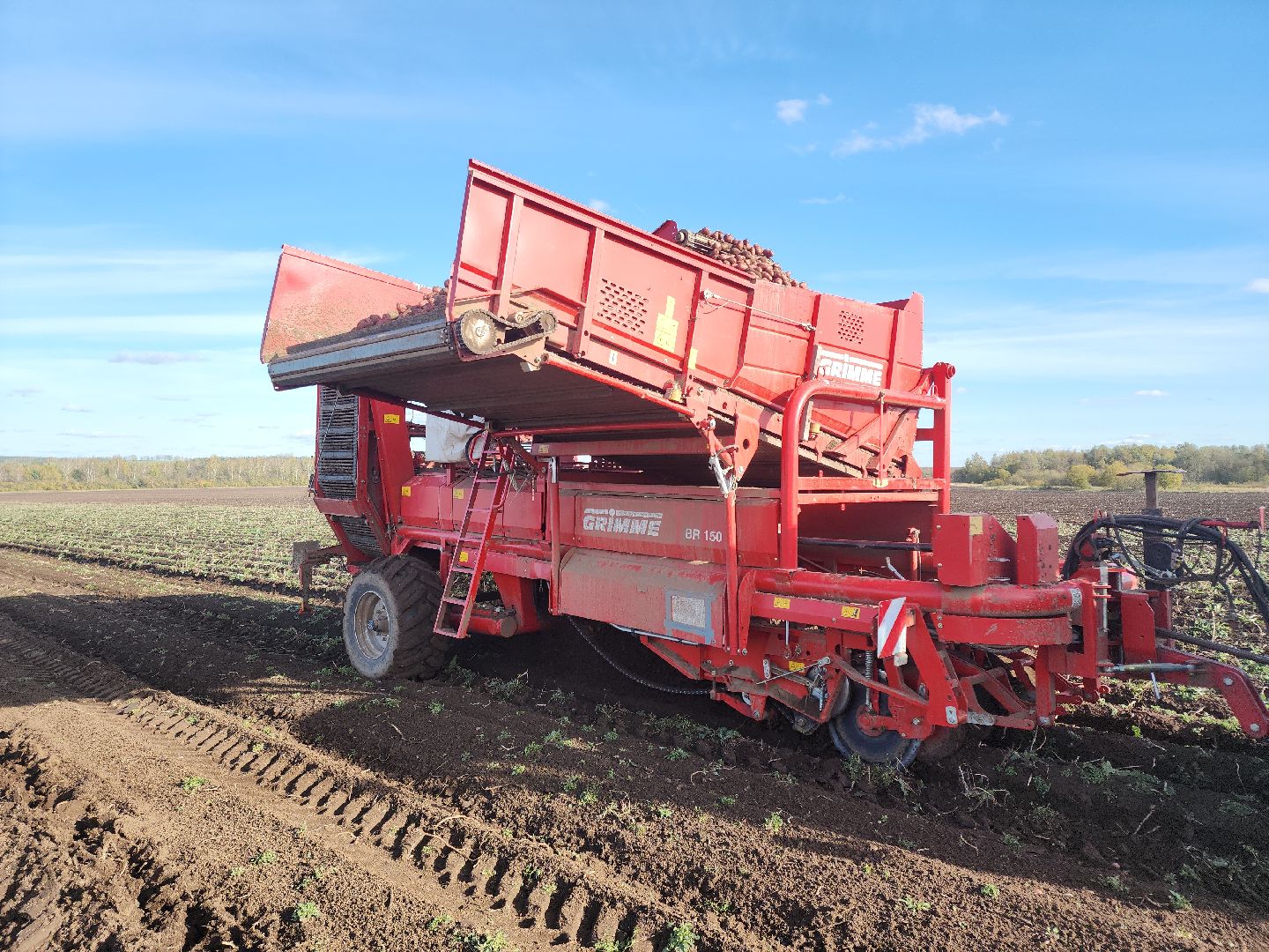 Кашира, уборочная кампания, яровые, озимые, пшеница, горох, картофель,