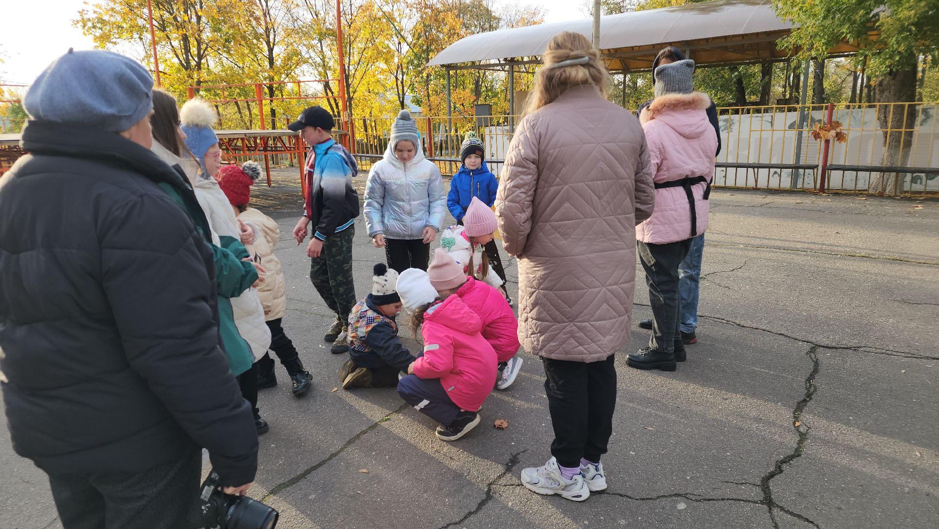 егорьевск, очень, дети, пегас, парк, осень, краски осени,