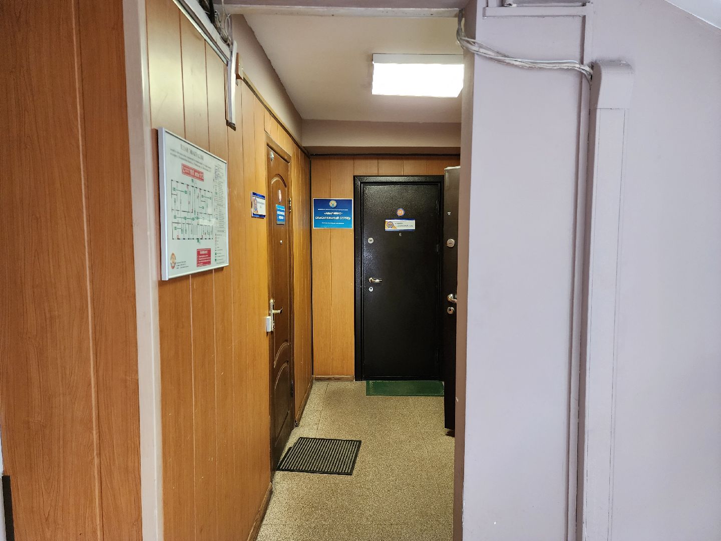 раменское, общество, психолог, раменская служба спасения,