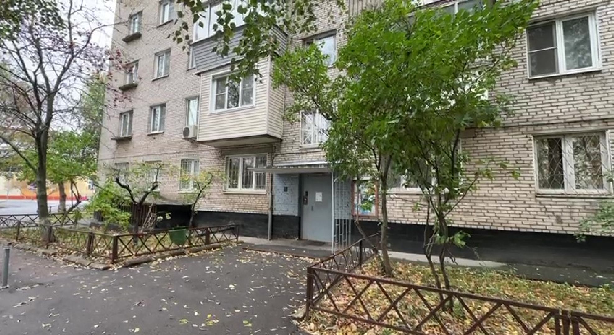 Реутов, Носовиха, спасение кошки, животное, дерево, вышка,