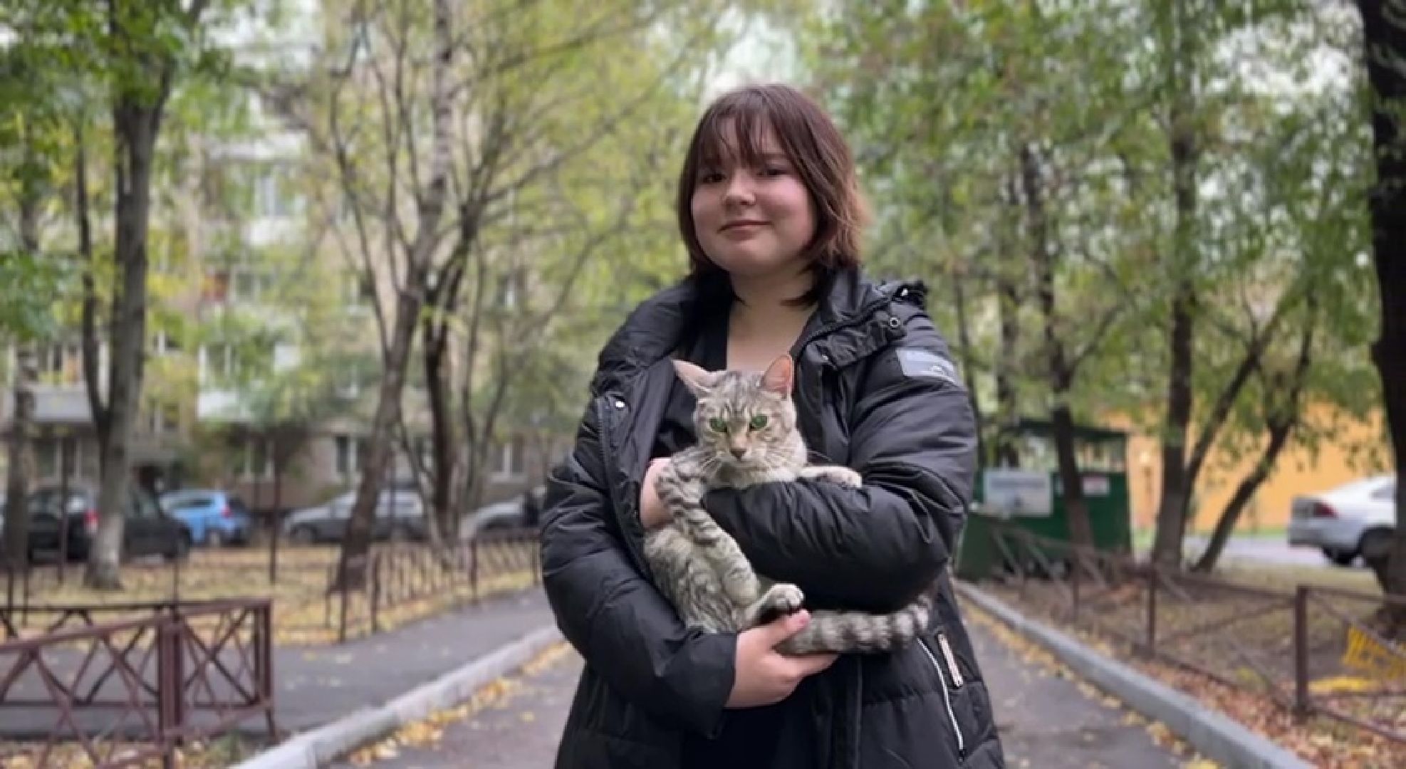 Реутов, Носовиха, спасение кошки, животное, дерево, вышка,