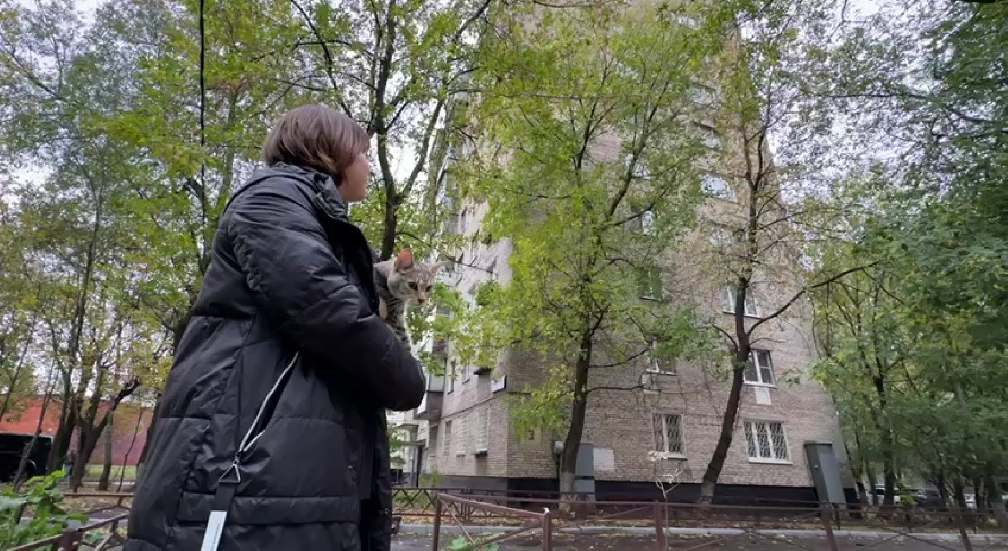 Реутов, Носовиха, спасение кошки, животное, дерево, вышка,