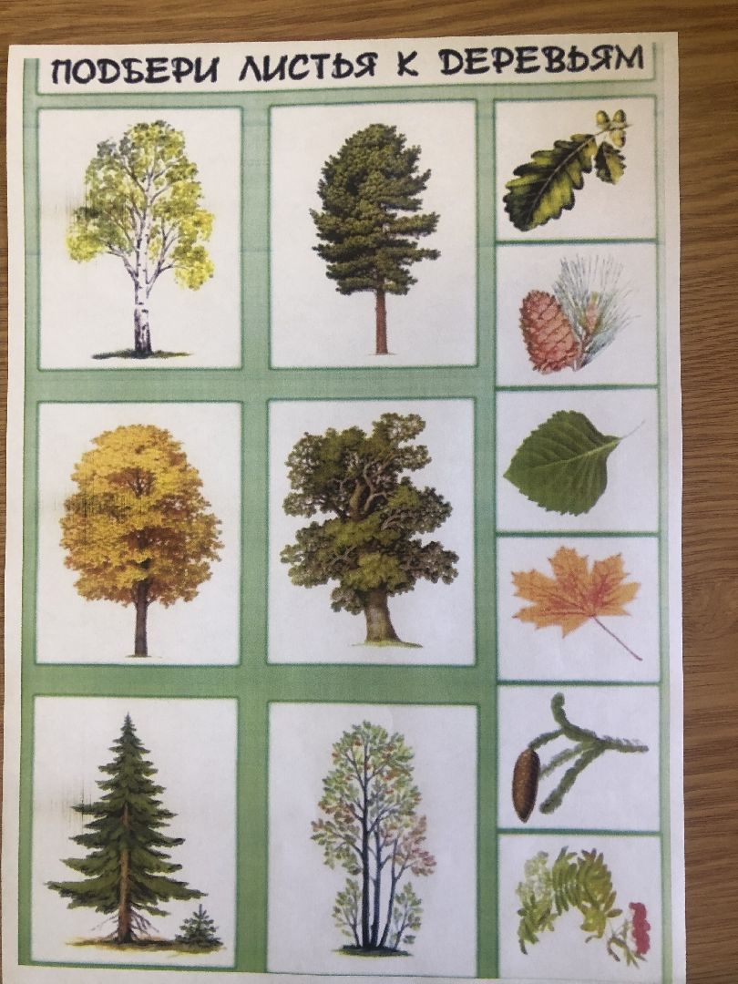 коломна, медицина, логопед,