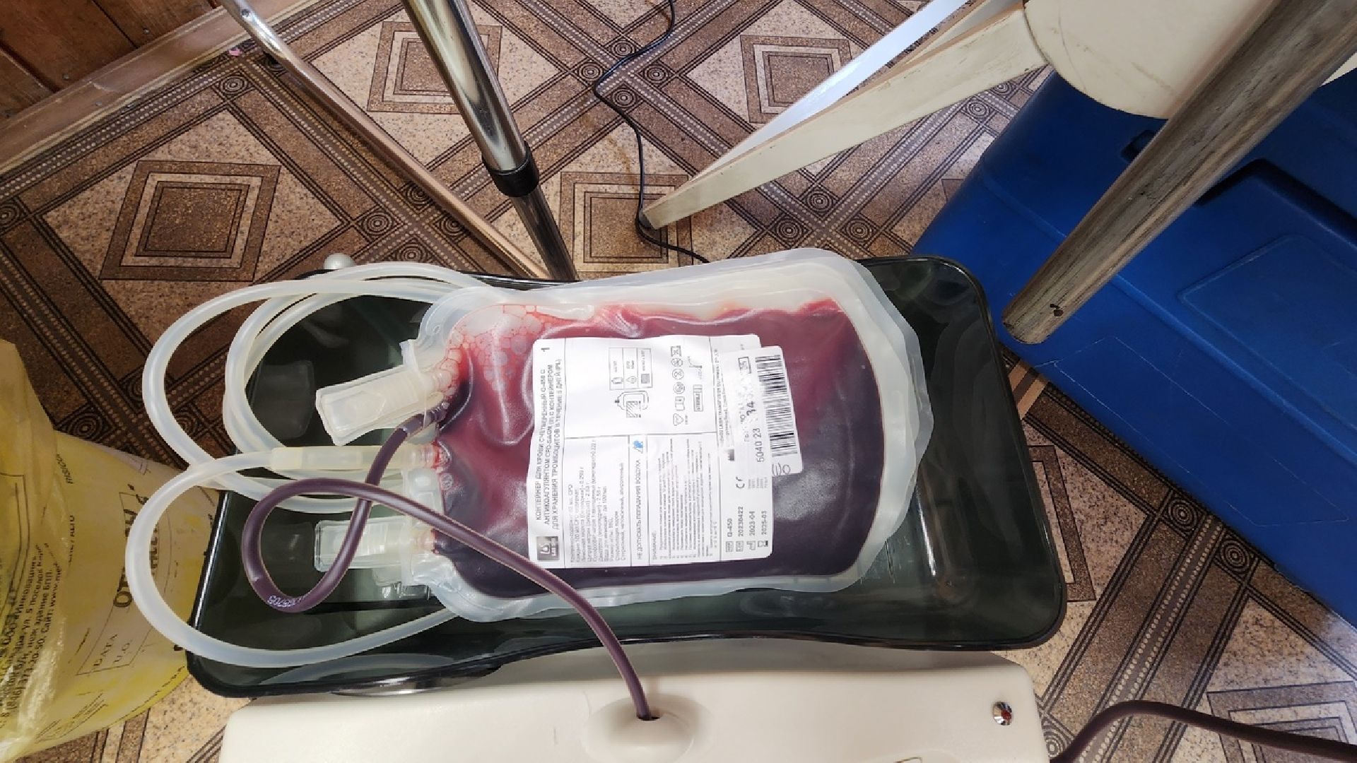 Солнечногорск, Андреевка, доноры, общество, благотворительность,