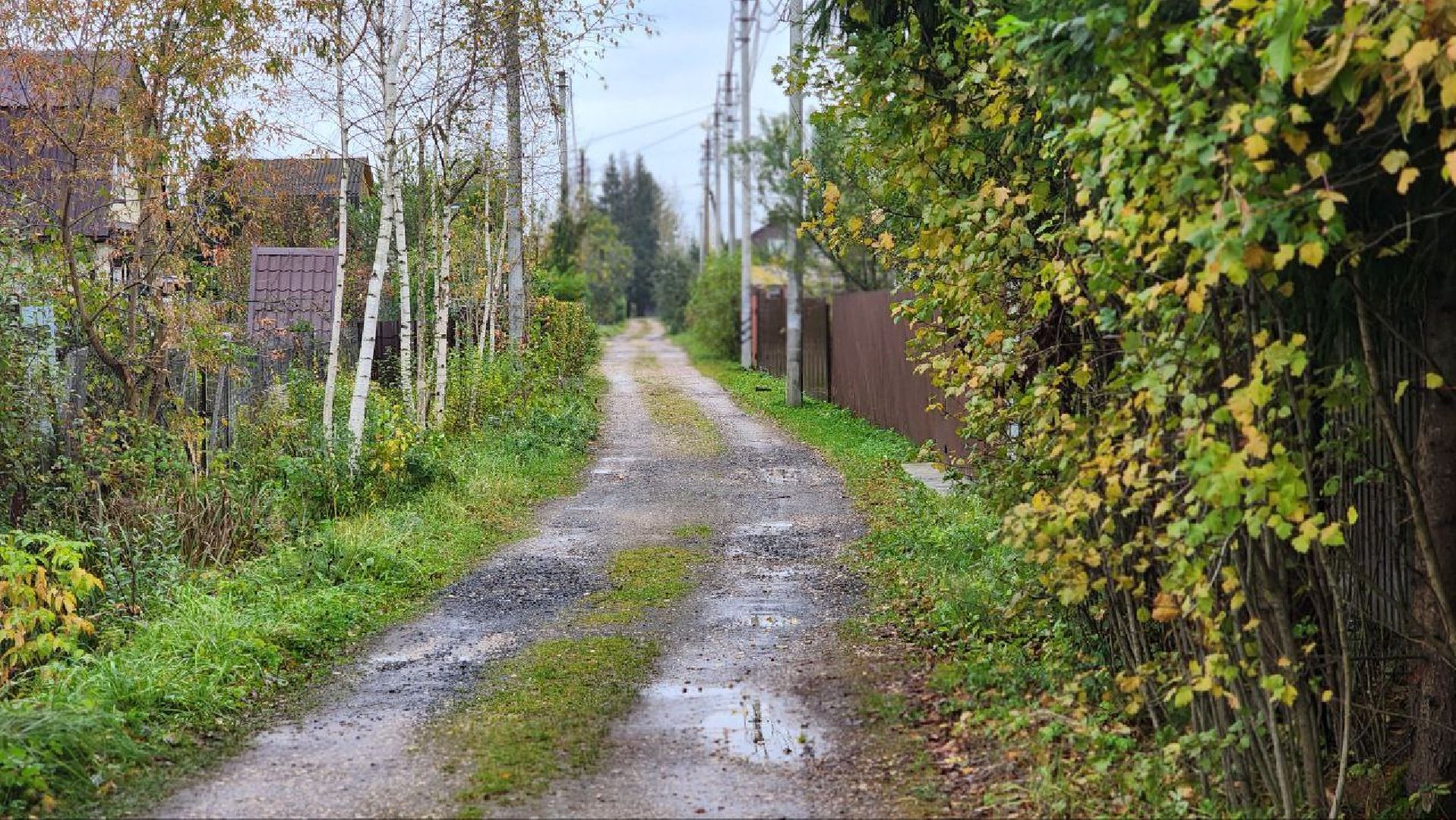 Дмитров, СНТ, Администрация ДГО,