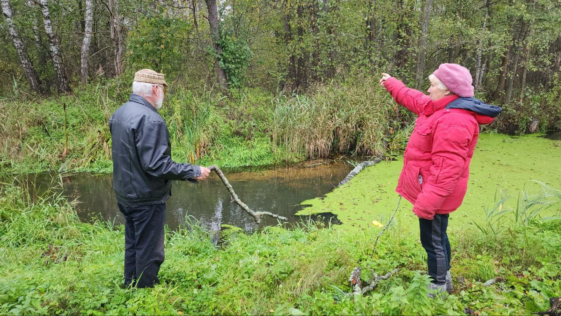 Дмитров, СНТ, Администрация ДГО,