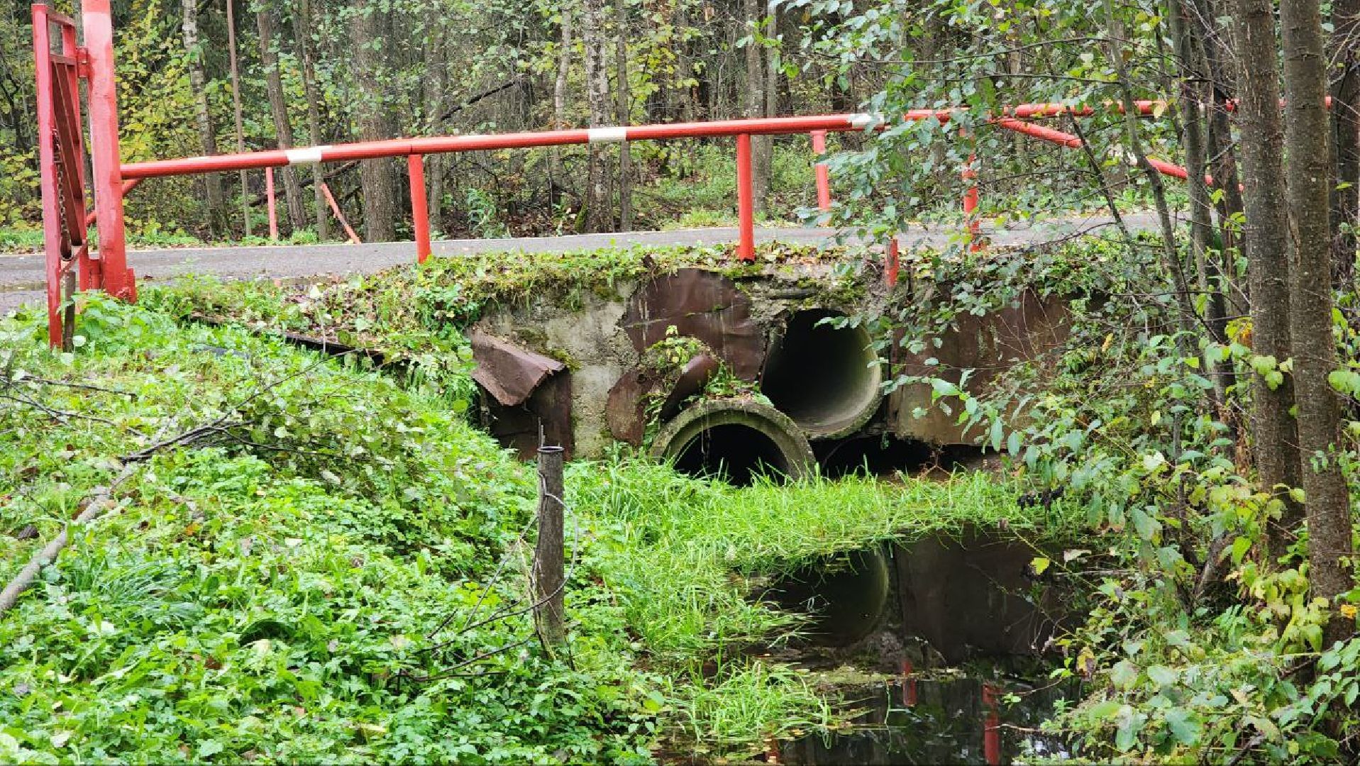 Дмитров, СНТ, Администрация ДГО,