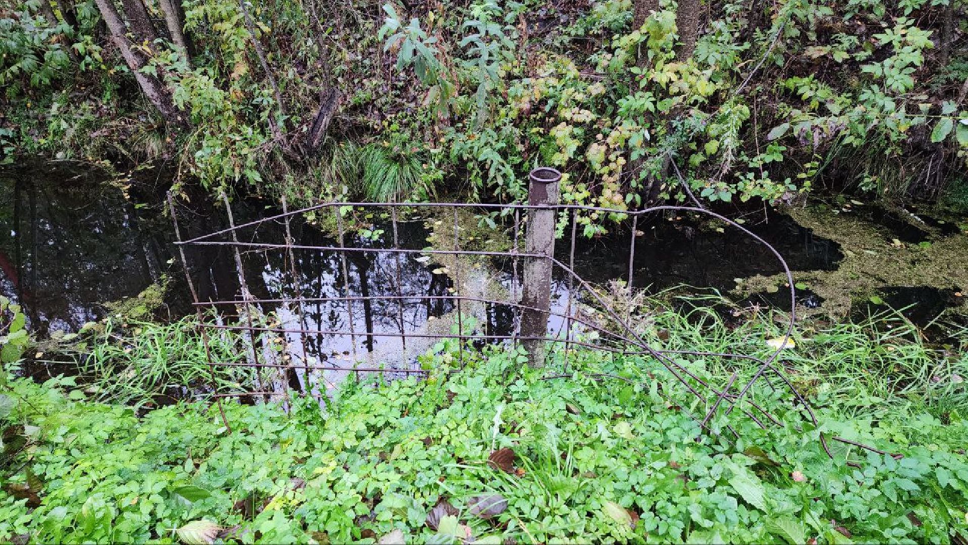 Дмитров, СНТ, Администрация ДГО,