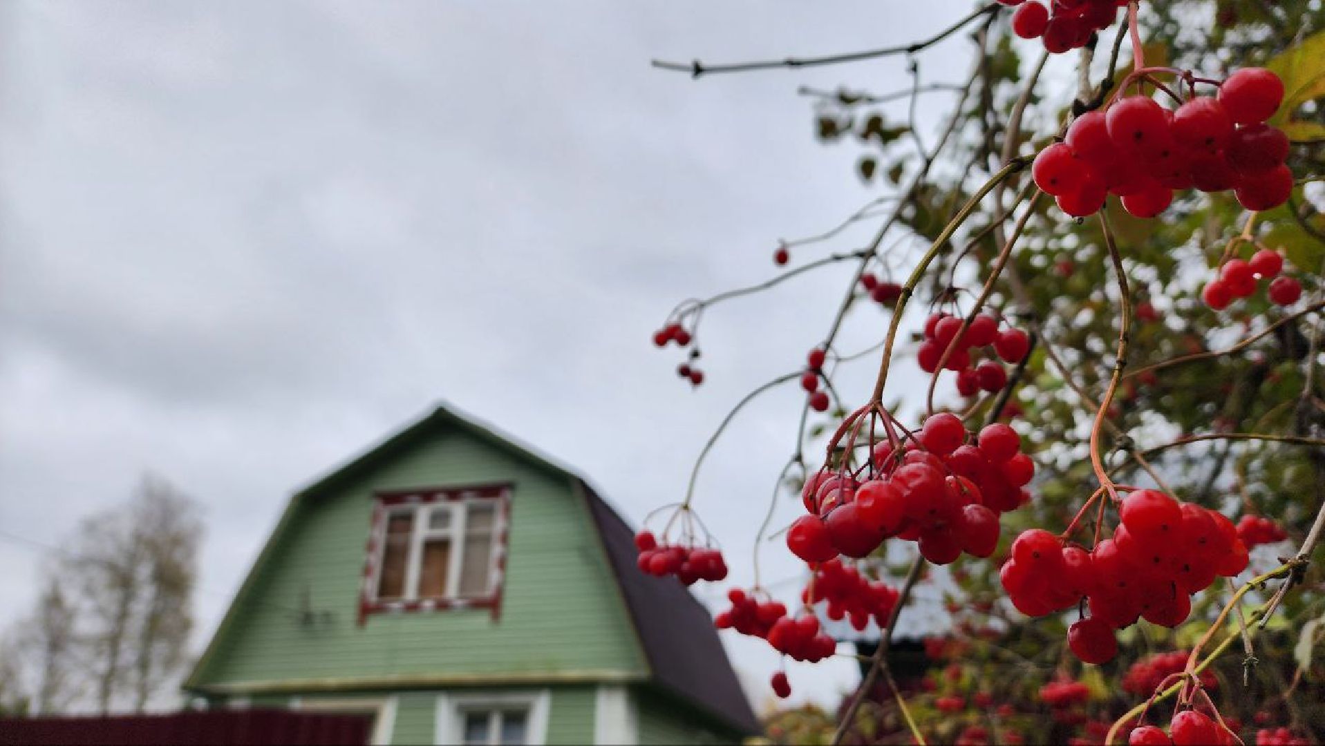 Дмитров, СНТ, Администрация ДГО,