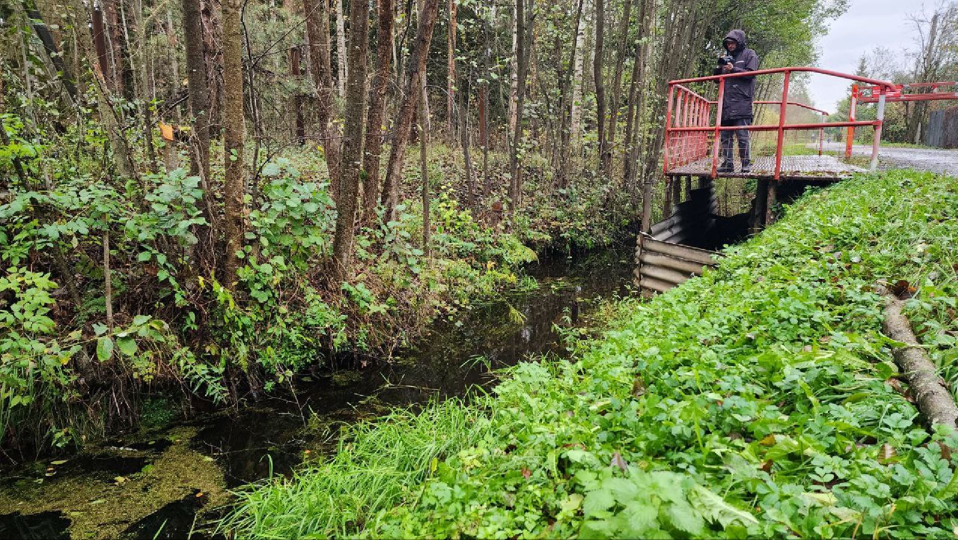 Дмитров, СНТ, Администрация ДГО,