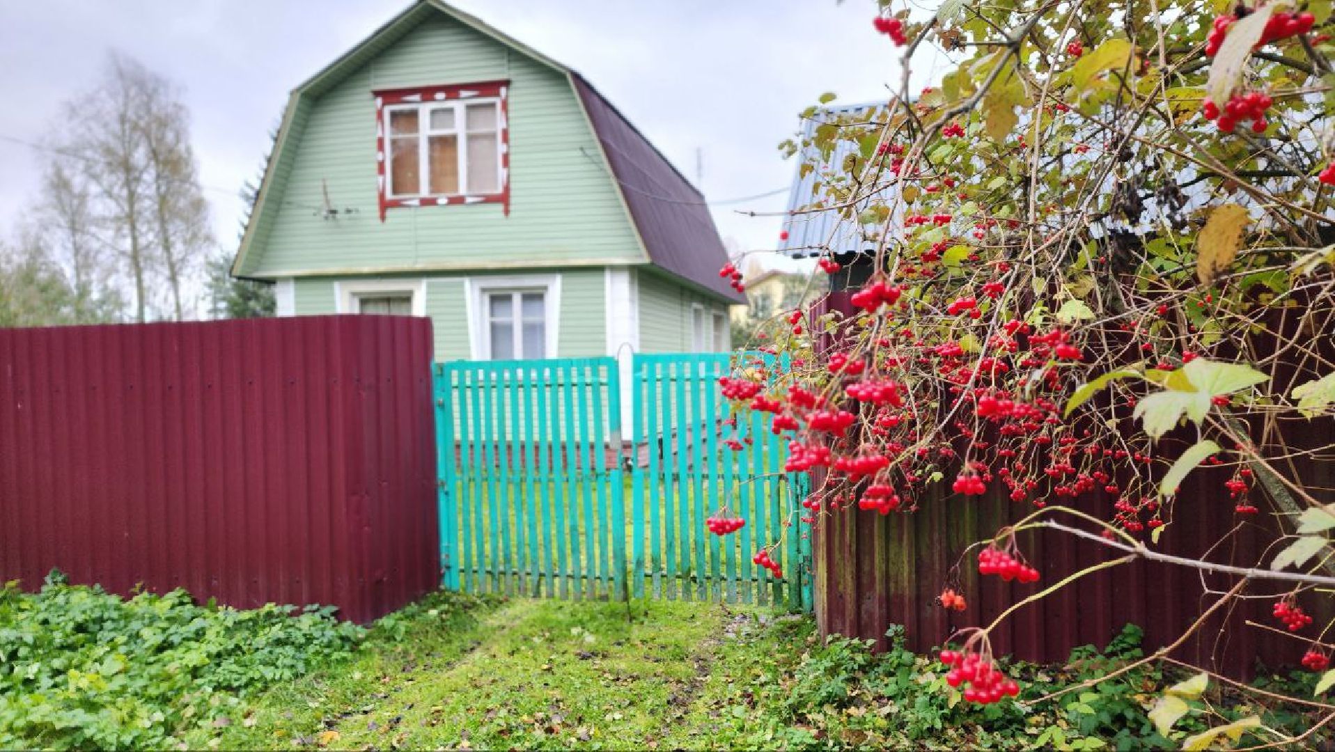 Дмитров, СНТ, Администрация ДГО,