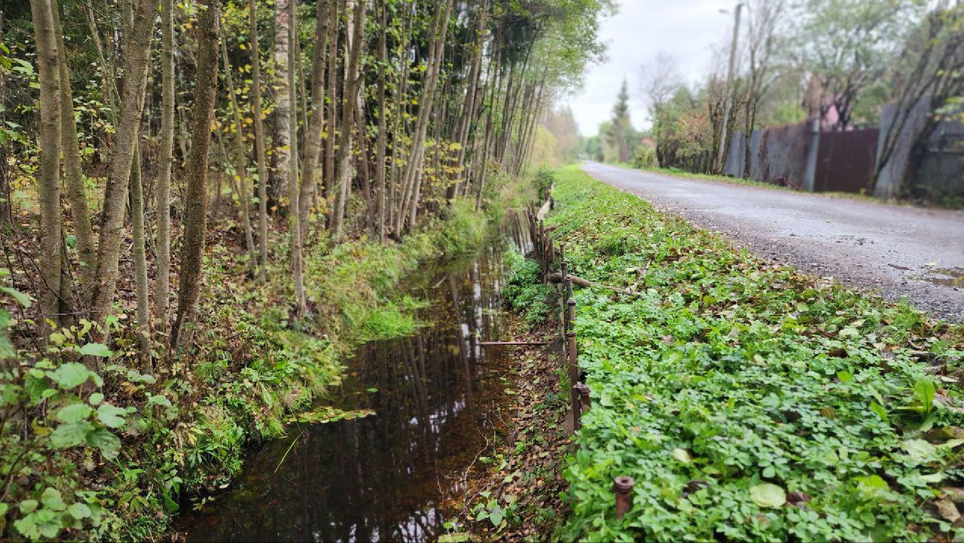 Дмитров, СНТ, Администрация ДГО,