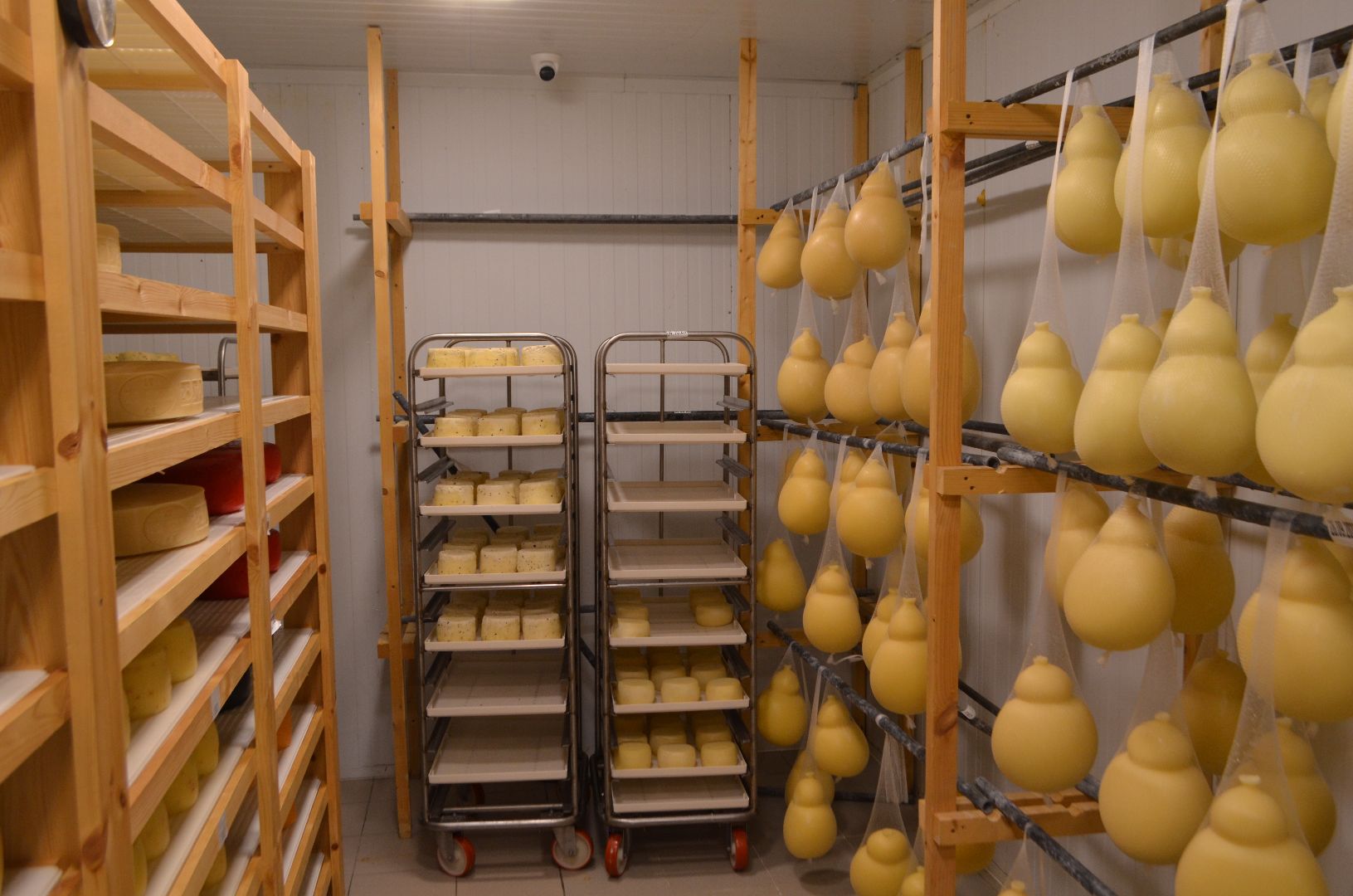 Люберцы, Субсидия, Сыроварня, Бизнес,