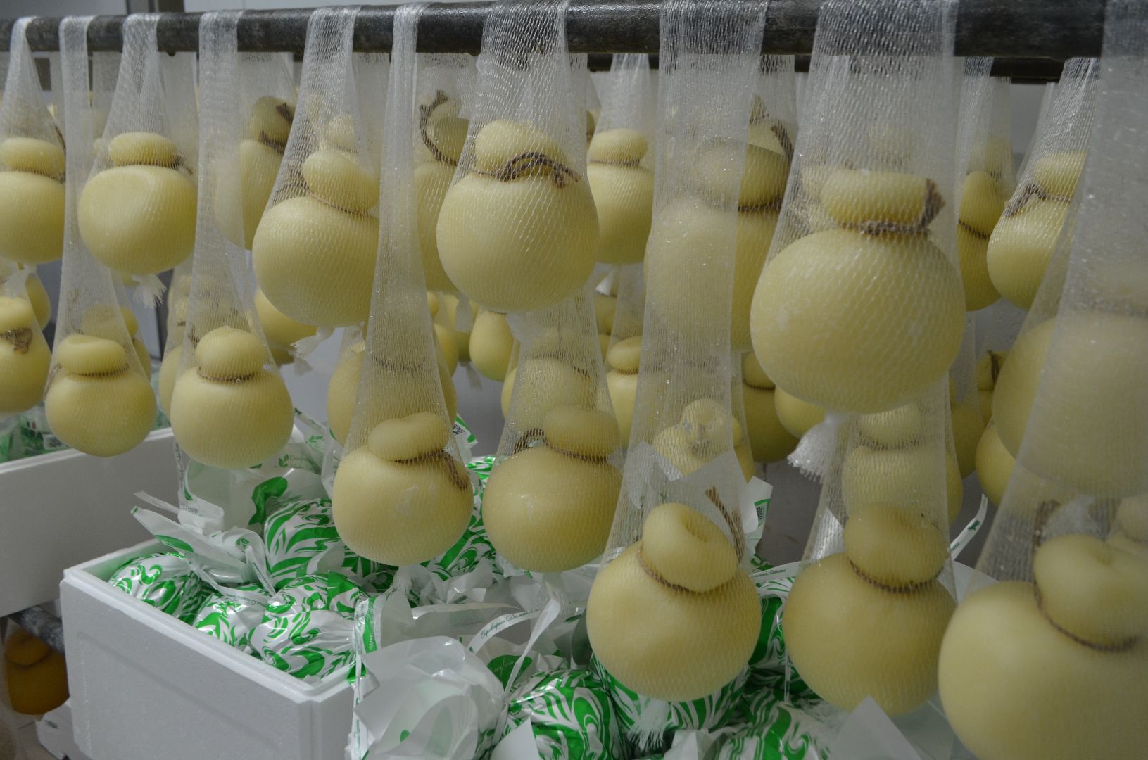 Люберцы, Субсидия, Сыроварня, Бизнес,