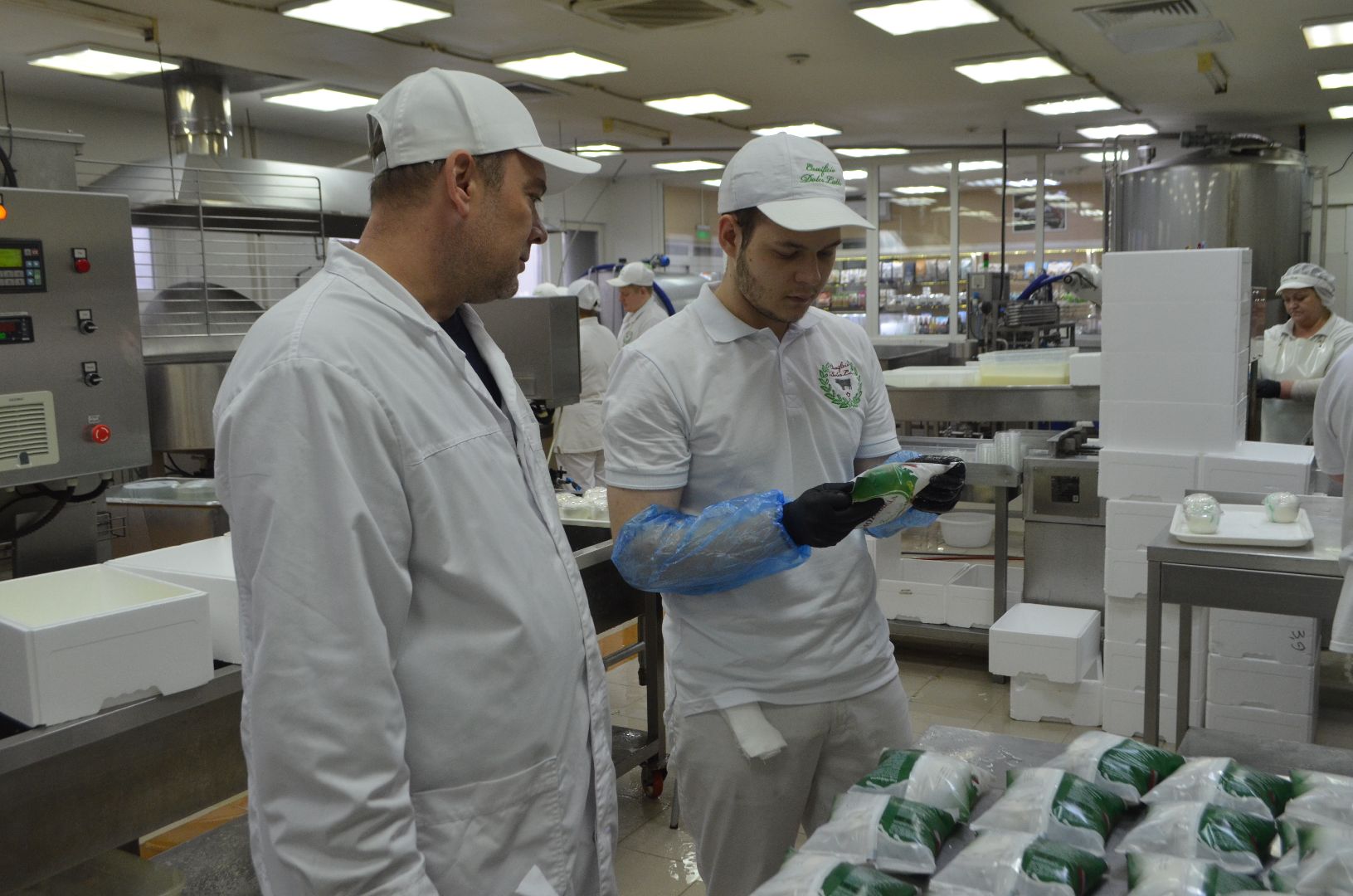 Люберцы, Субсидия, Сыроварня, Бизнес,