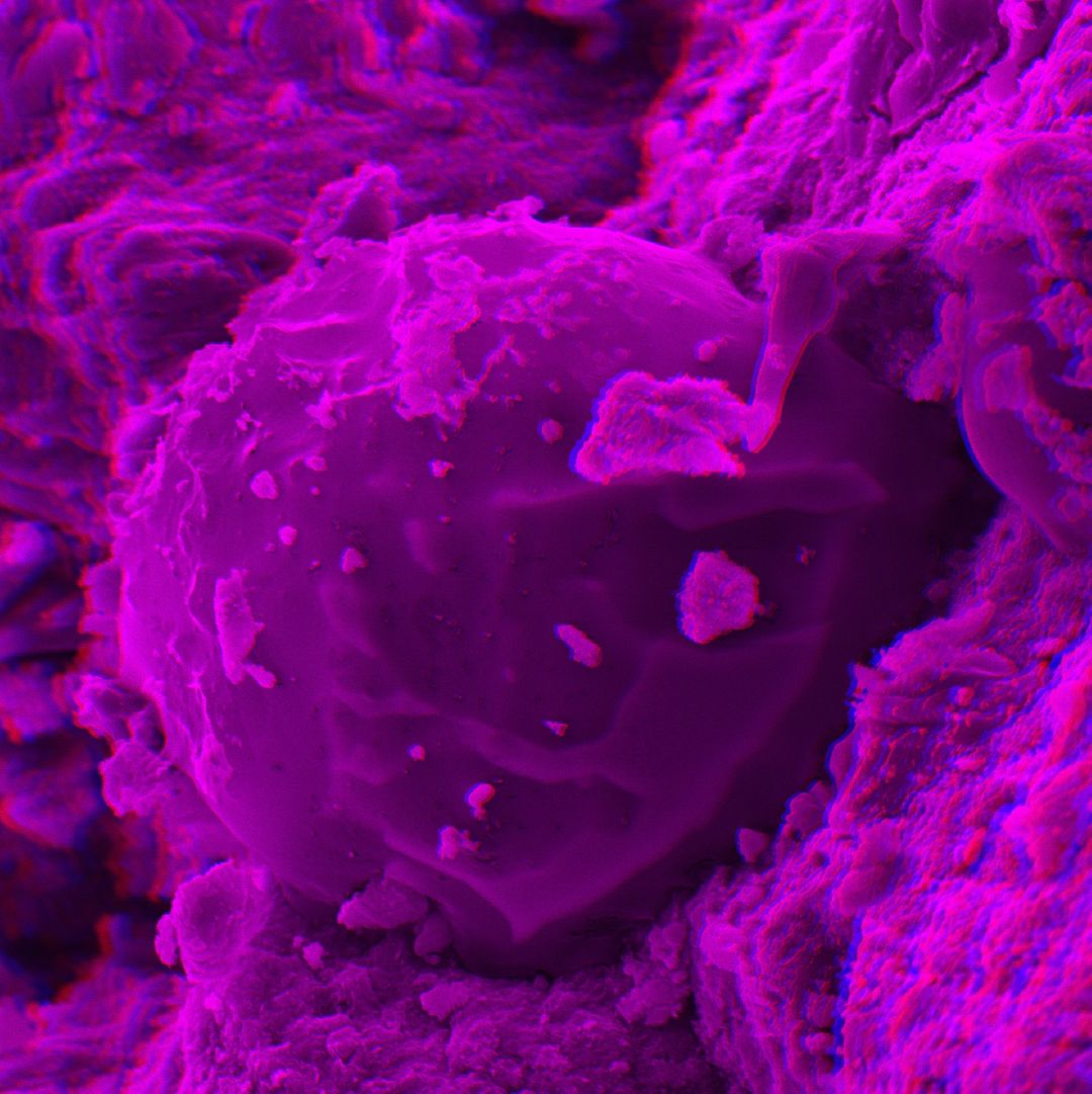 Образование Наука ОбъединенныйИнститутЯдерныхИсследований АлексейРозанов ДемидовскаяПремия Дубна Подмосковье