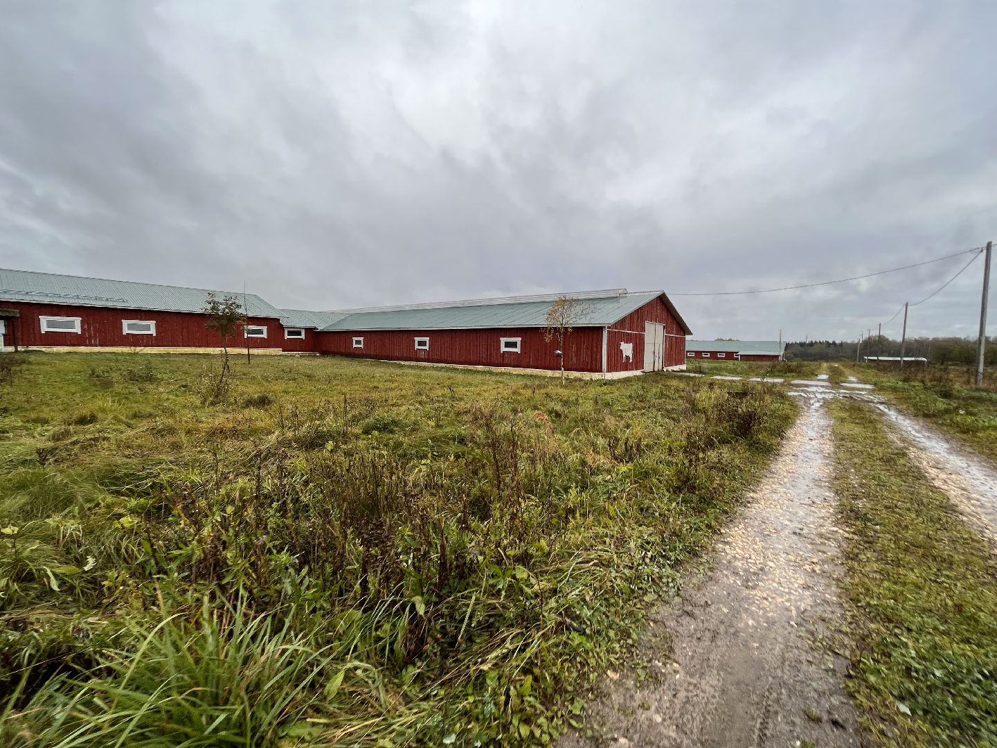 Шаховская, ферма, глэмпинг, база отдыха,