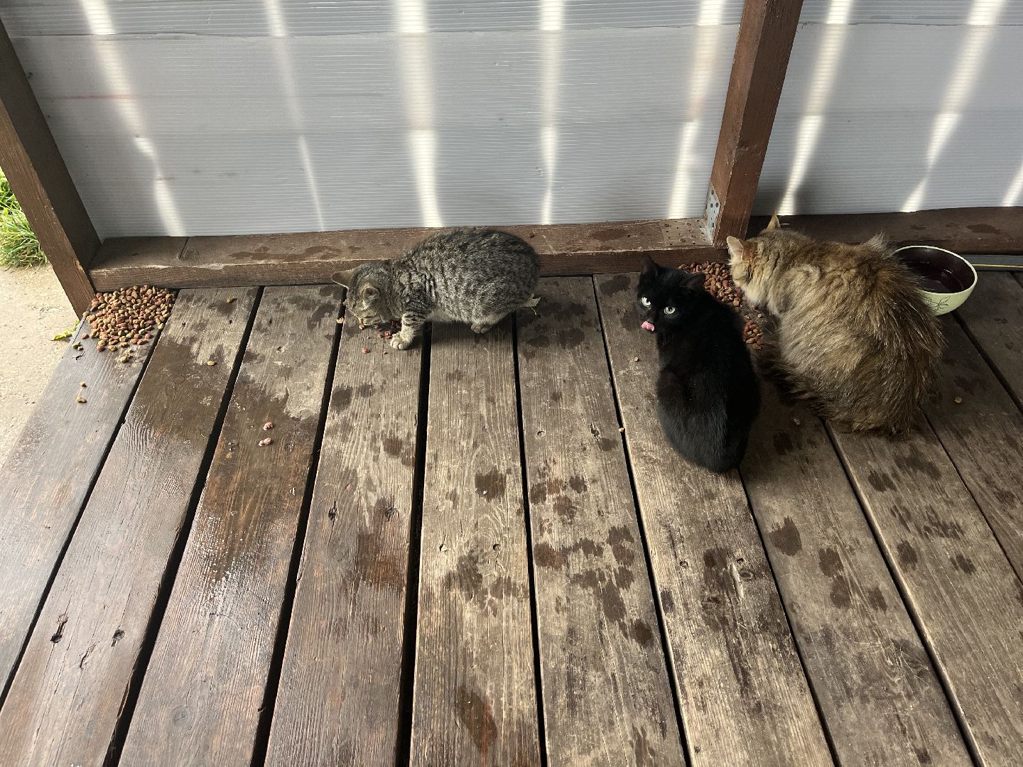 Шаховская, ферма, глэмпинг, база отдыха,