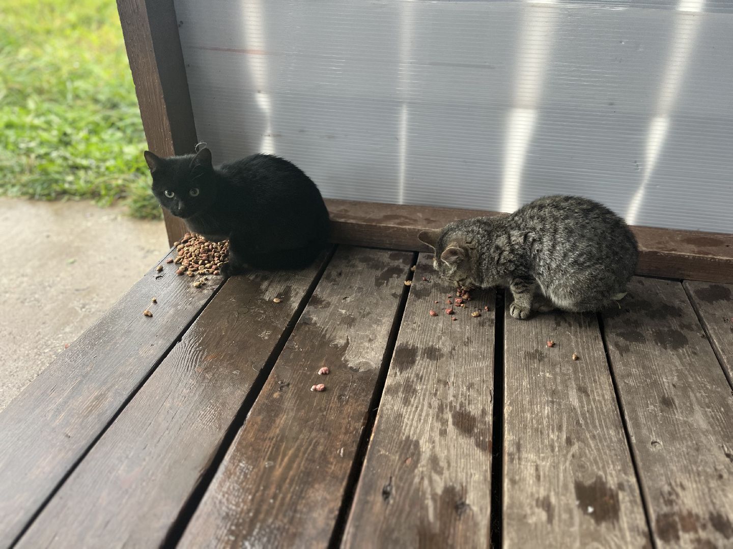 Шаховская, ферма, глэмпинг, база отдыха,