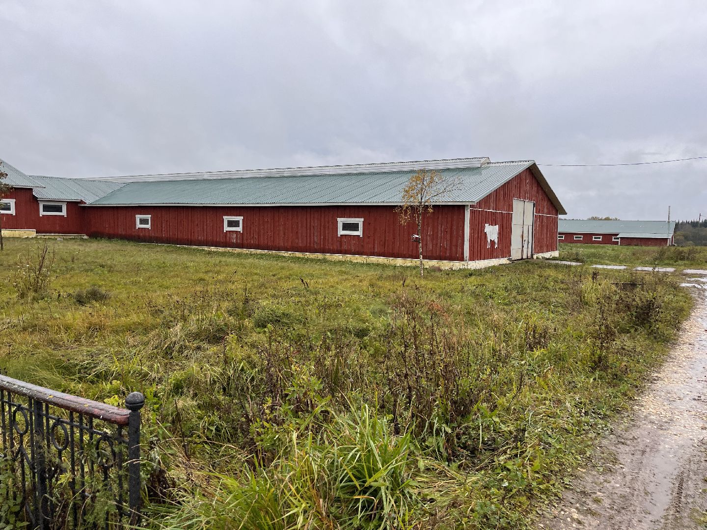 Шаховская, ферма, глэмпинг, база отдыха,