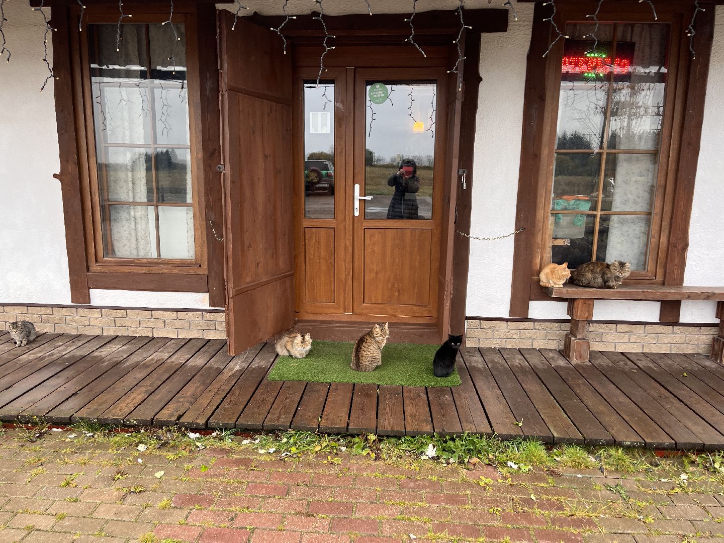 Шаховская, ферма, глэмпинг, база отдыха,