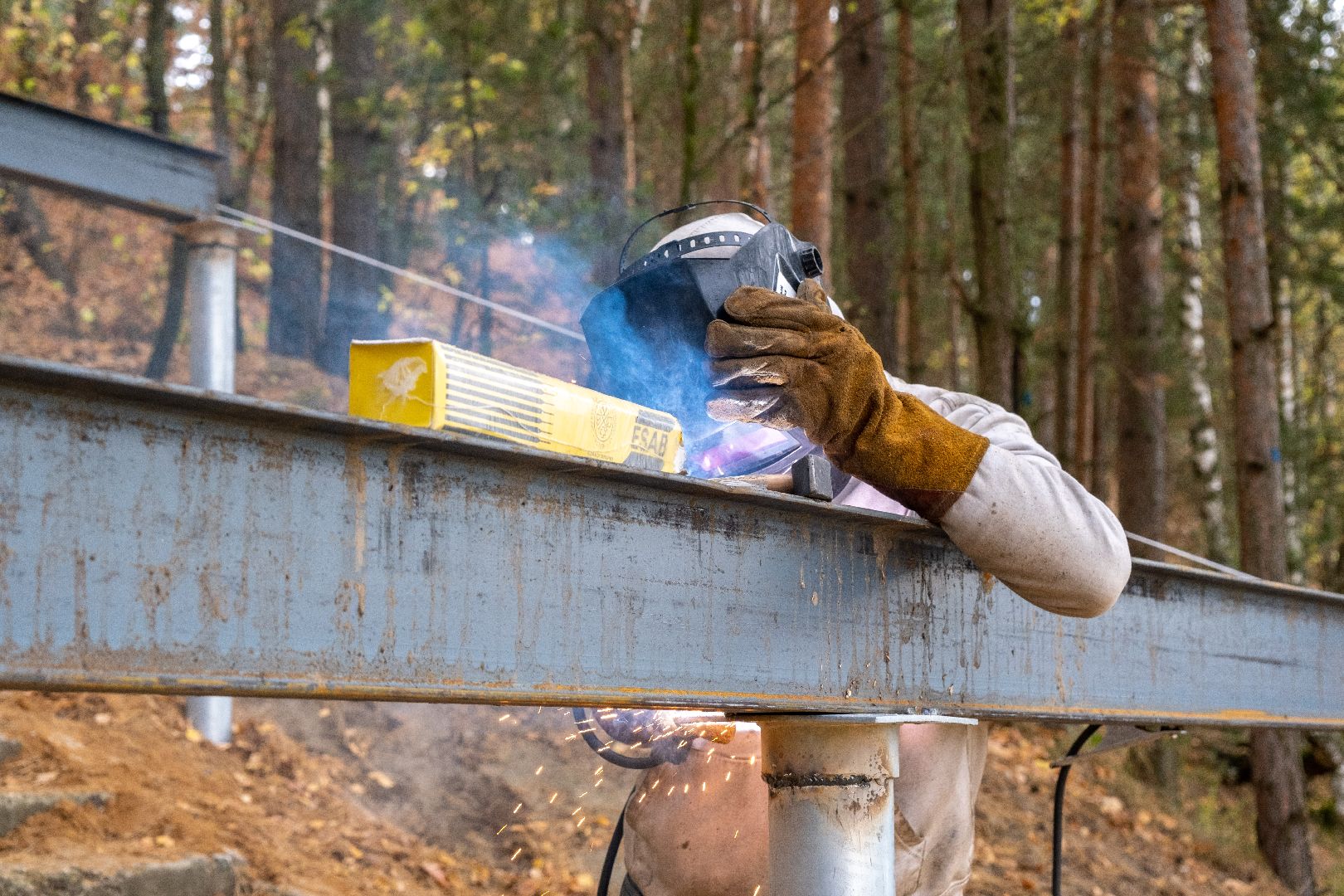лыткарино, благоустройство, волкуша, лесопарк,