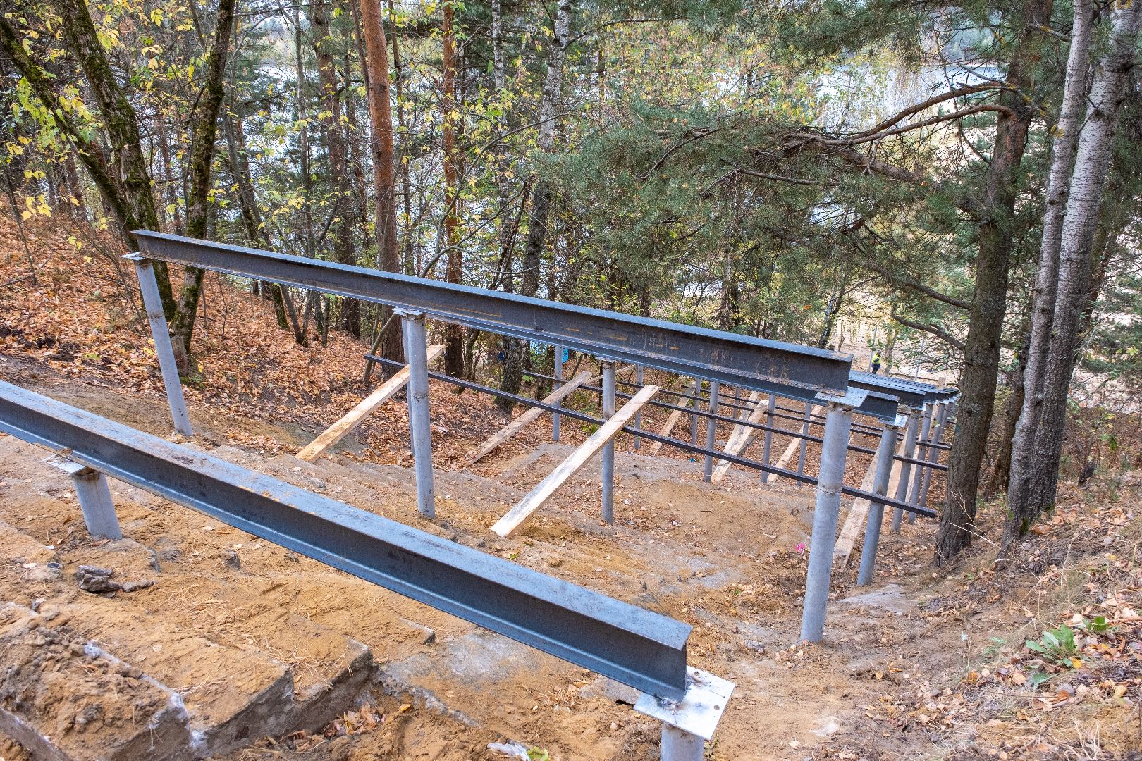 лыткарино, благоустройство, волкуша, лесопарк,