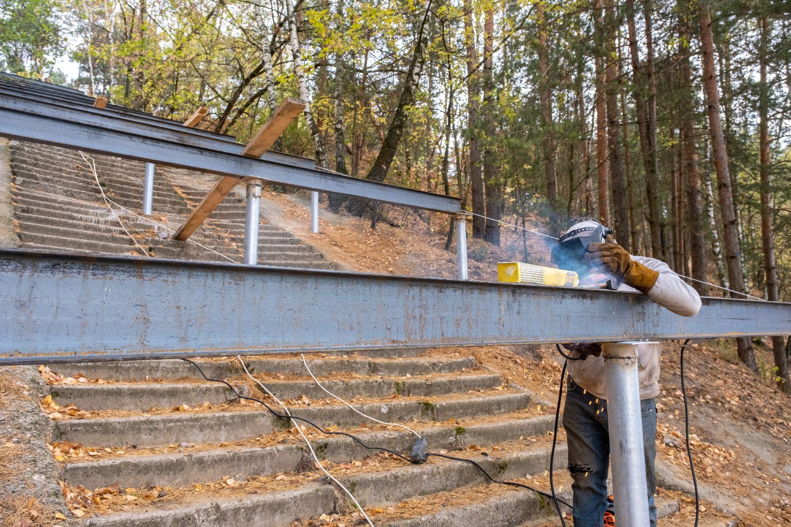 лыткарино, благоустройство, волкуша, лесопарк,