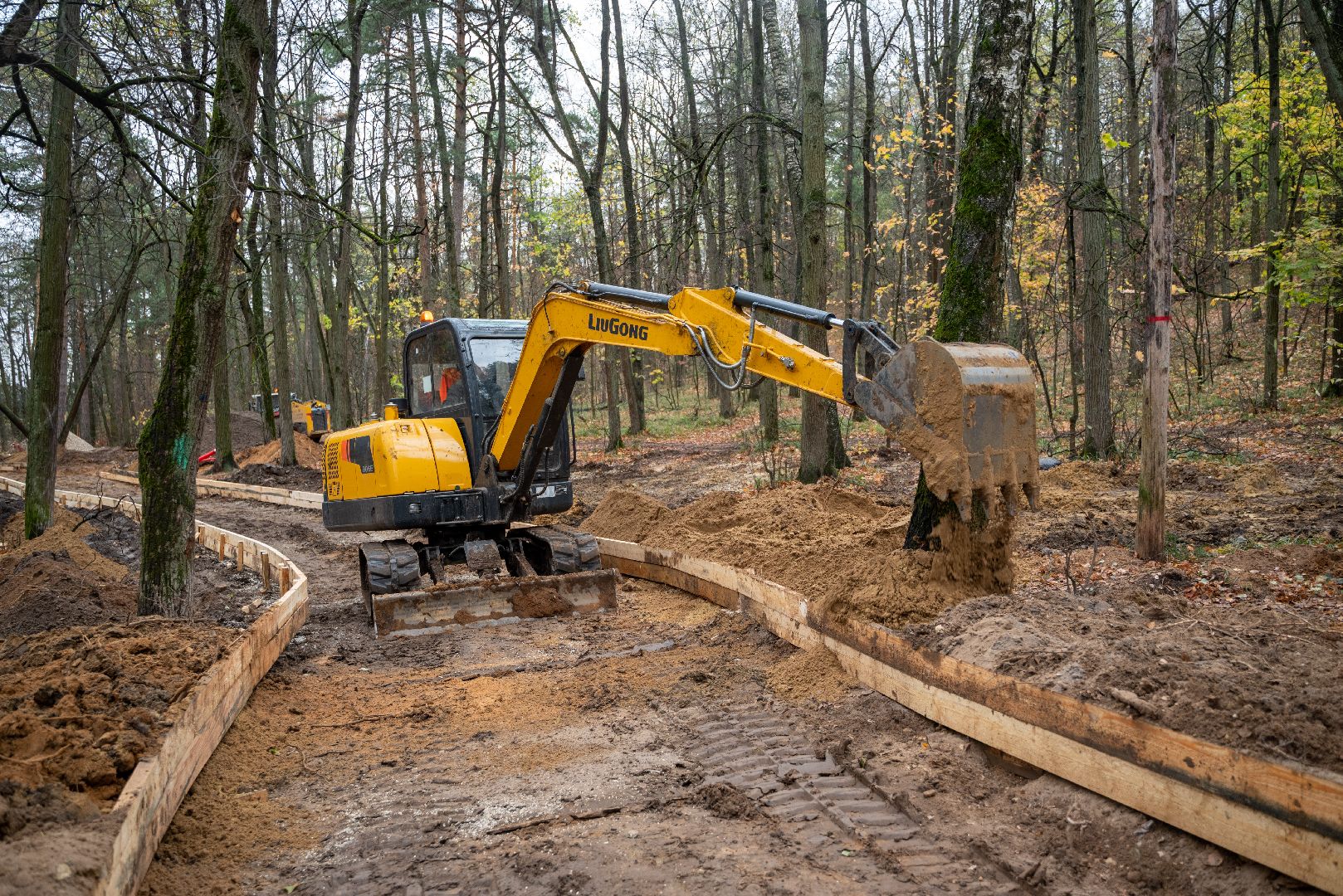 лыткарино, благоустройство, волкуша, лесопарк,