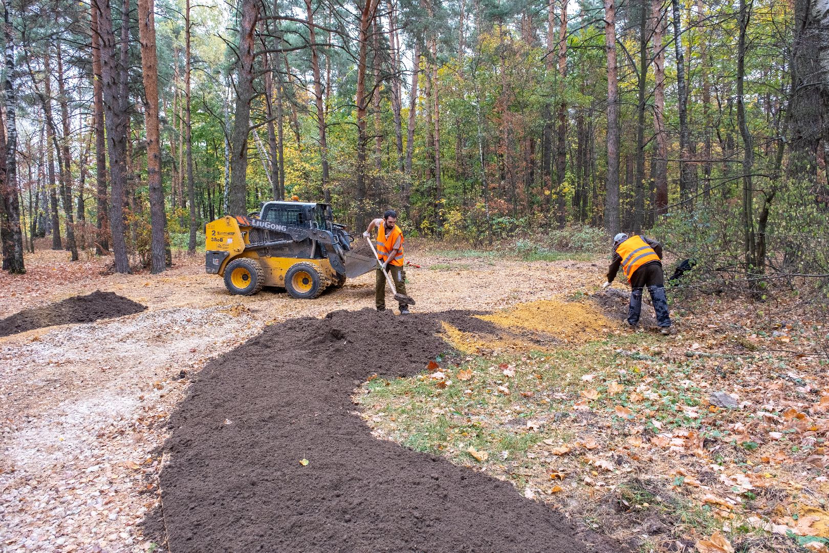лыткарино, благоустройство, волкуша, лесопарк,