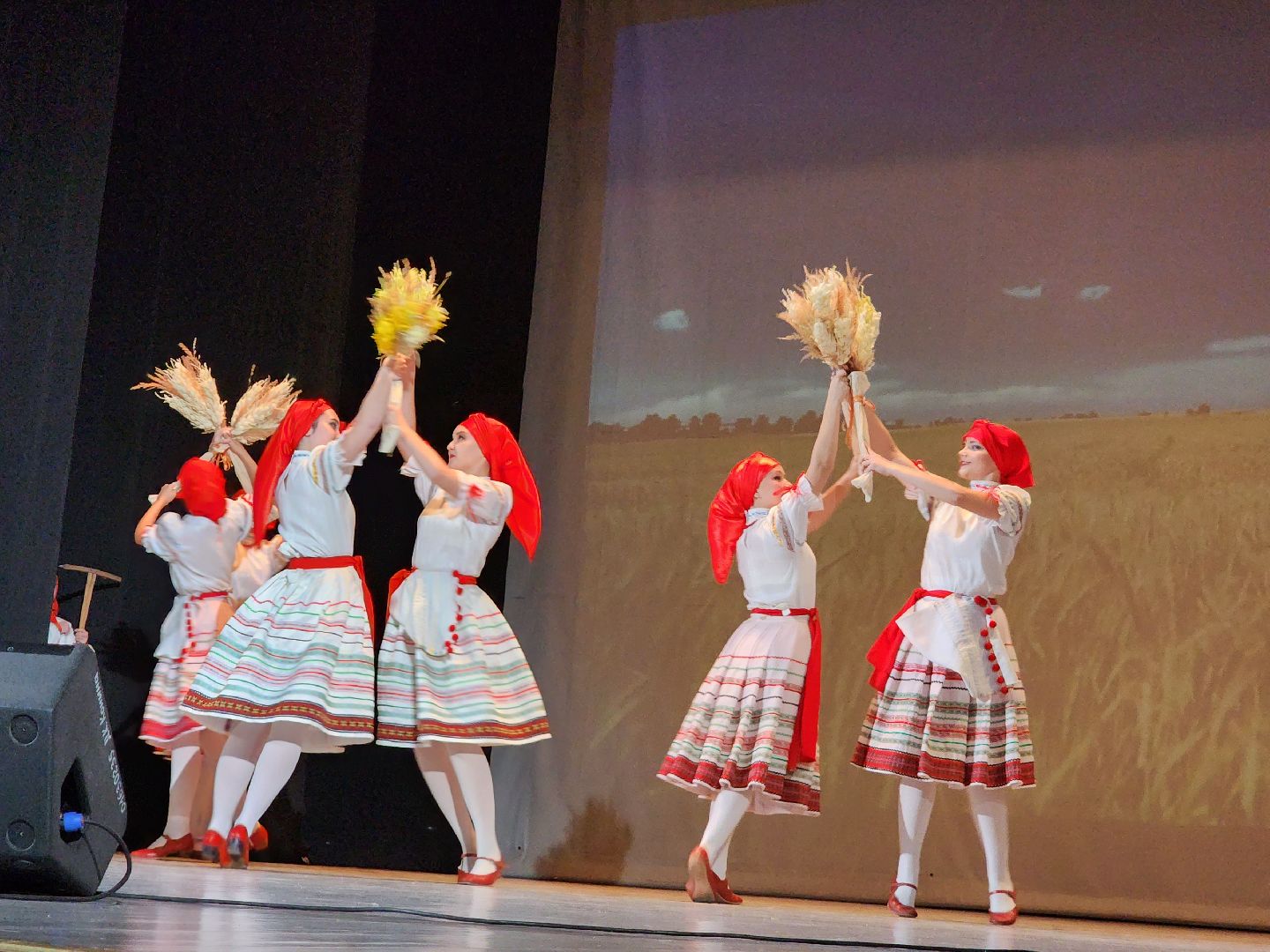 Егорьевск, детская школа искусств, Юбилей, Подмосковье, наше подмосковье, московская область,