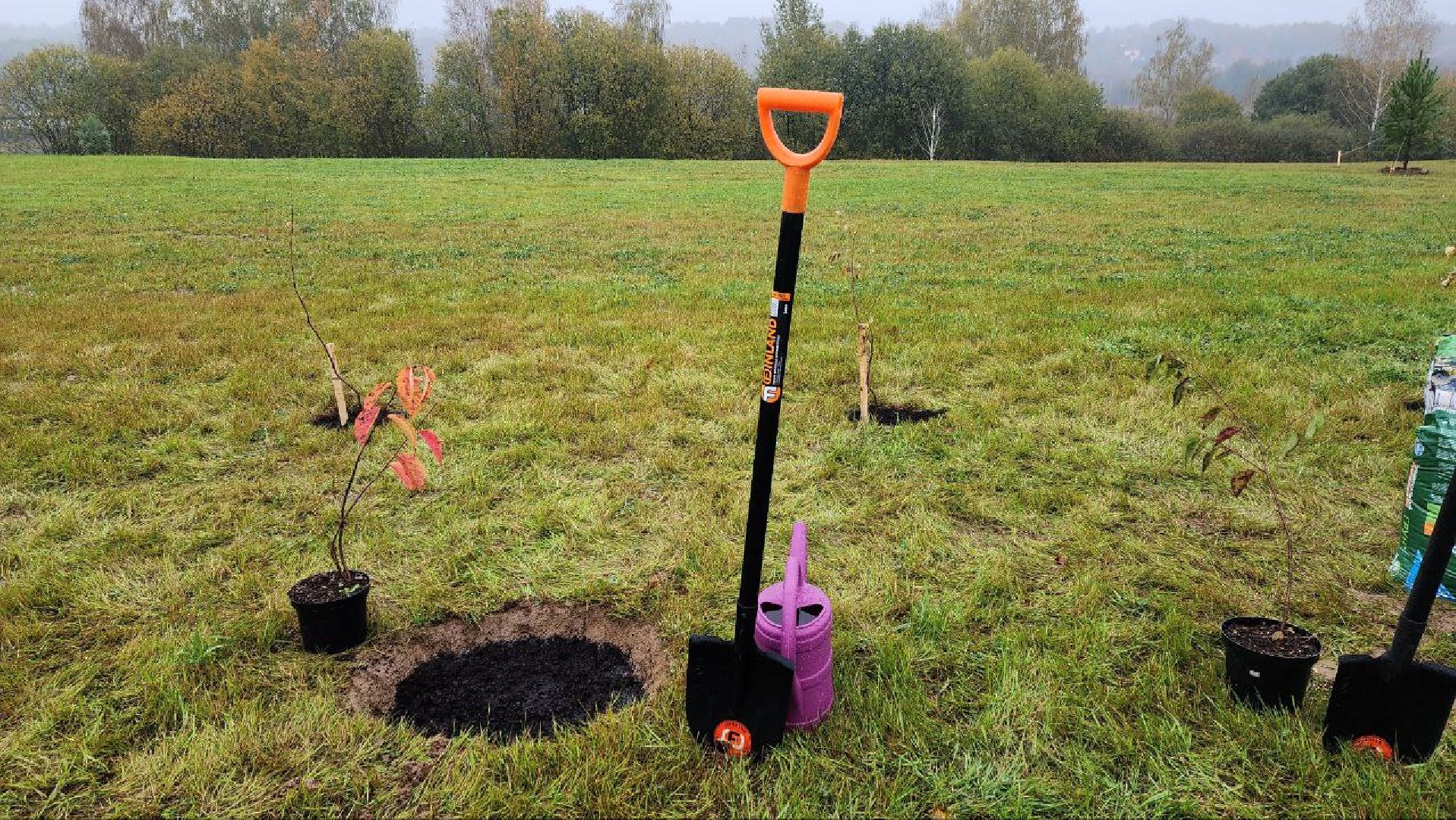 Солнечногорск, Сахалин, Мастерская управления, Сенеж, президент,